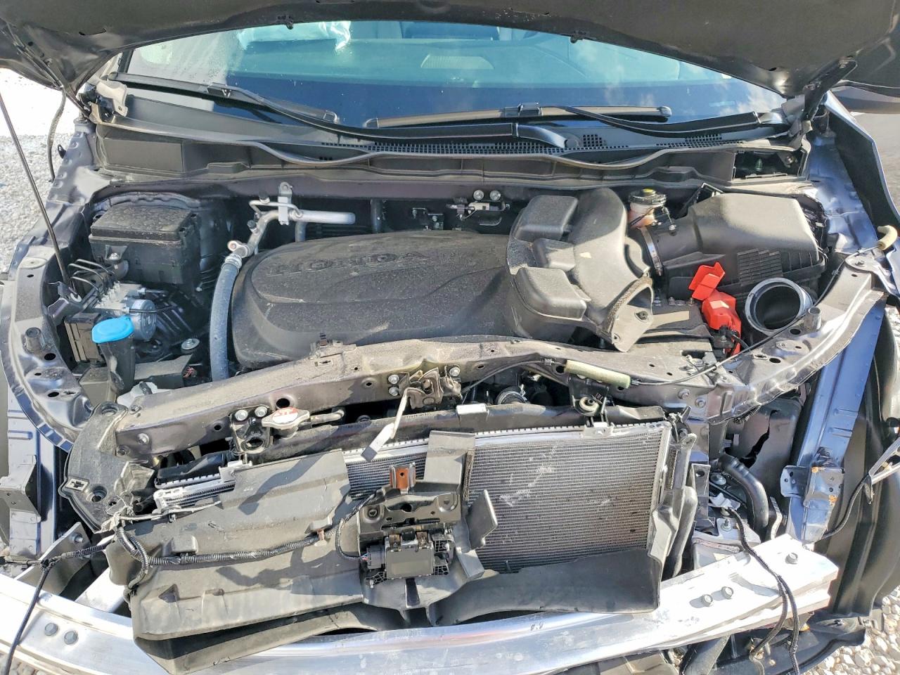 Honda Odyssey Exl
