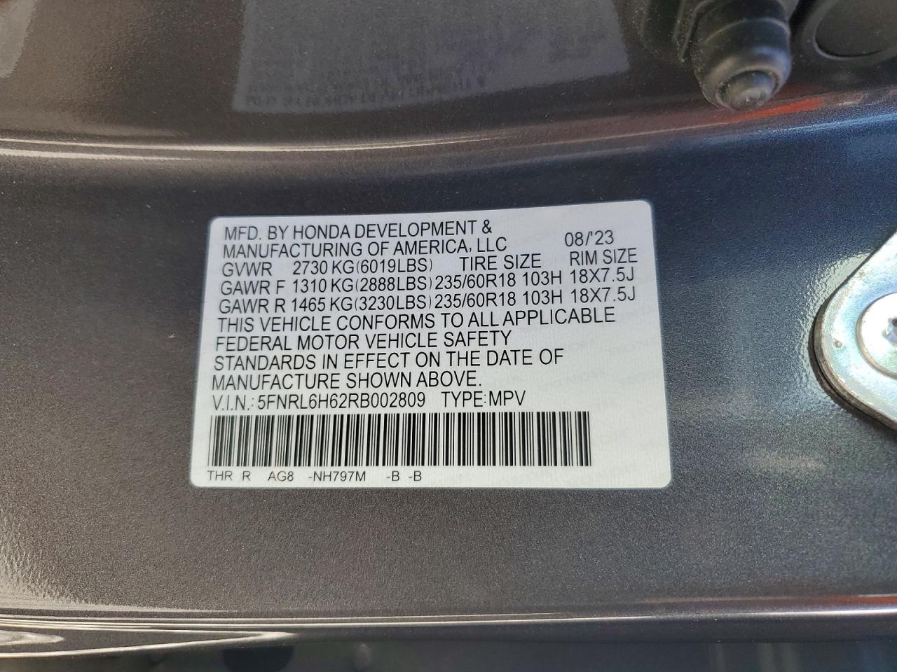 Honda Odyssey Exl