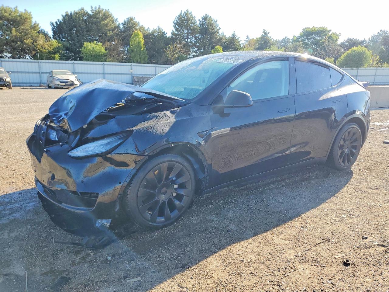 Salvage Tesla Model Y Image