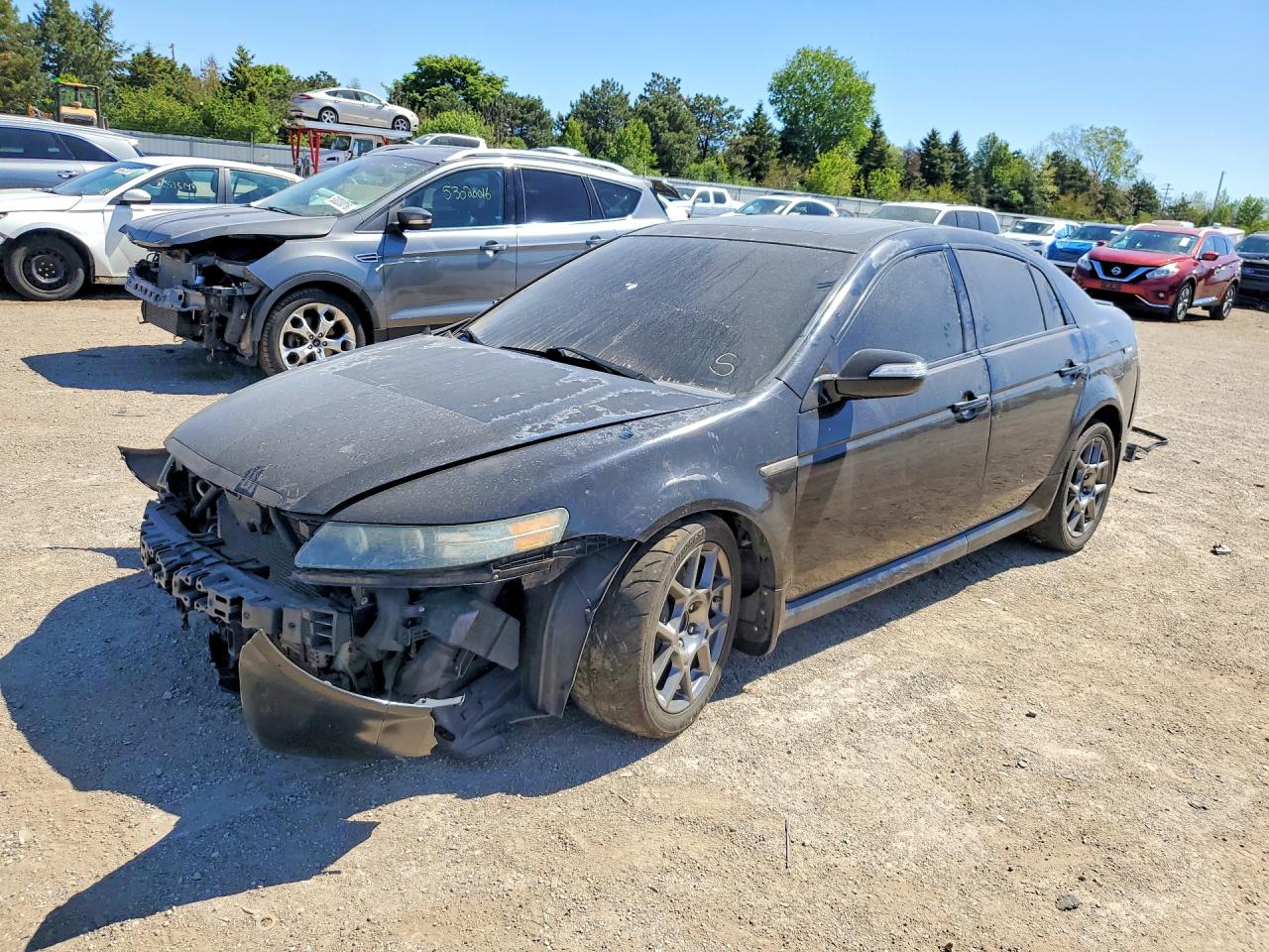 Salvage Acura TL Image