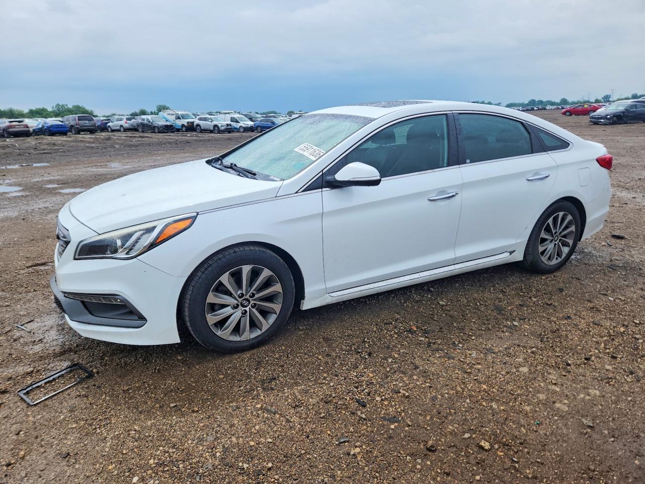 Salvage Hyundai SONATA Image