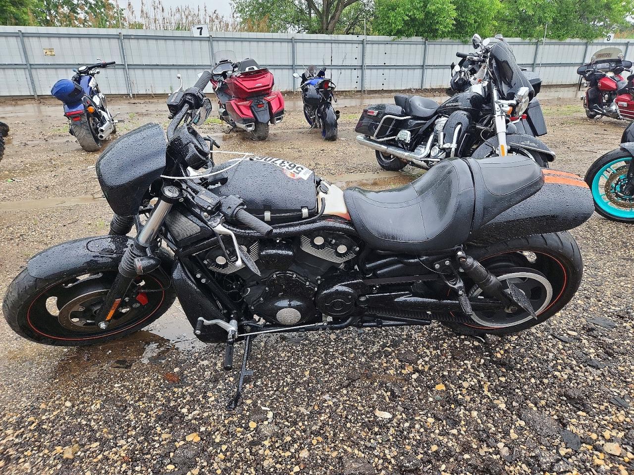 Harley-Davidson Night