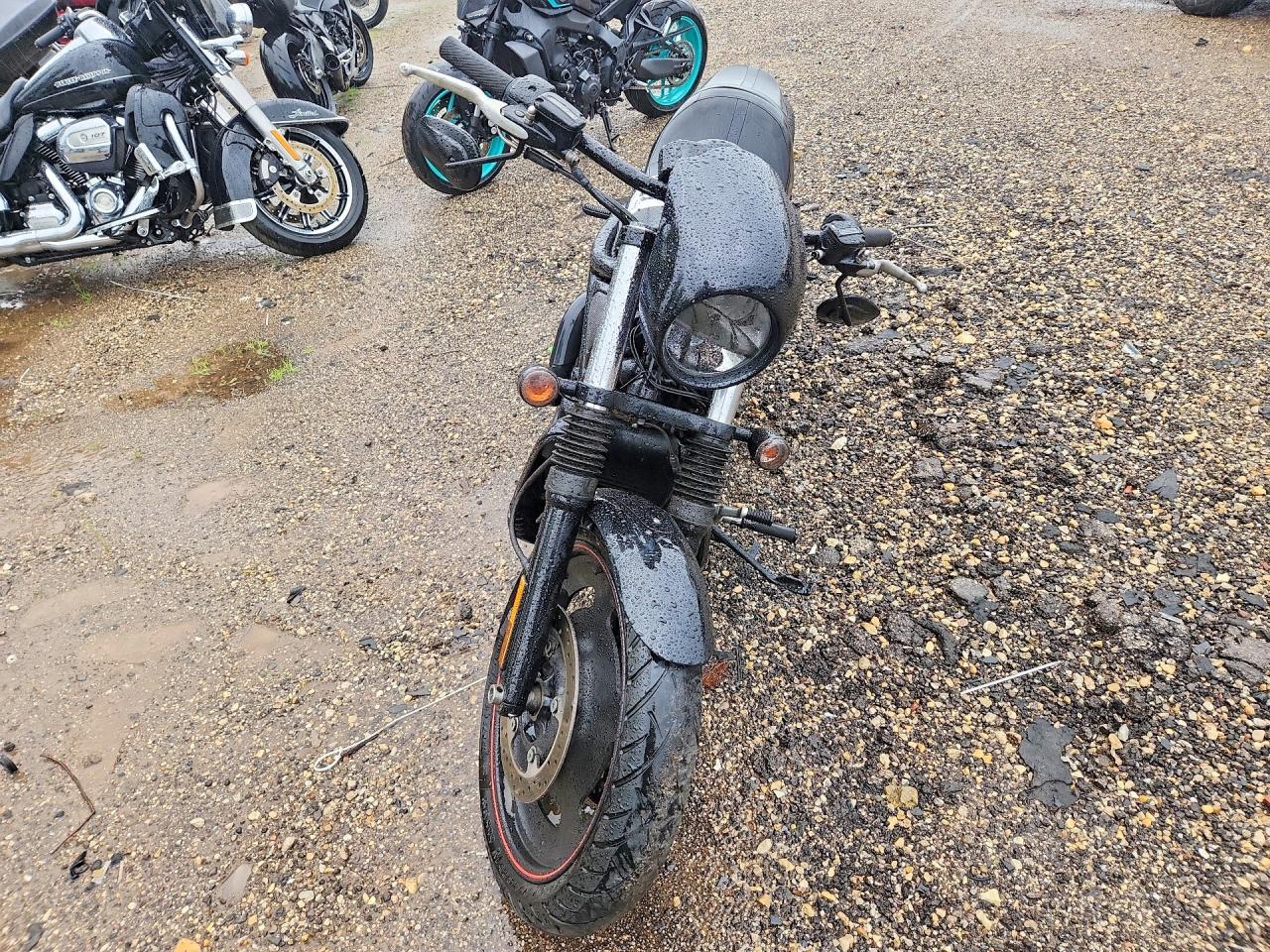 Harley-Davidson Night