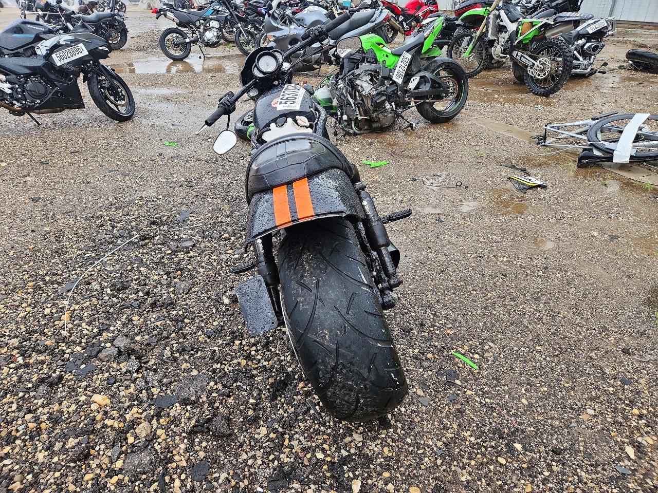 Harley-Davidson Night