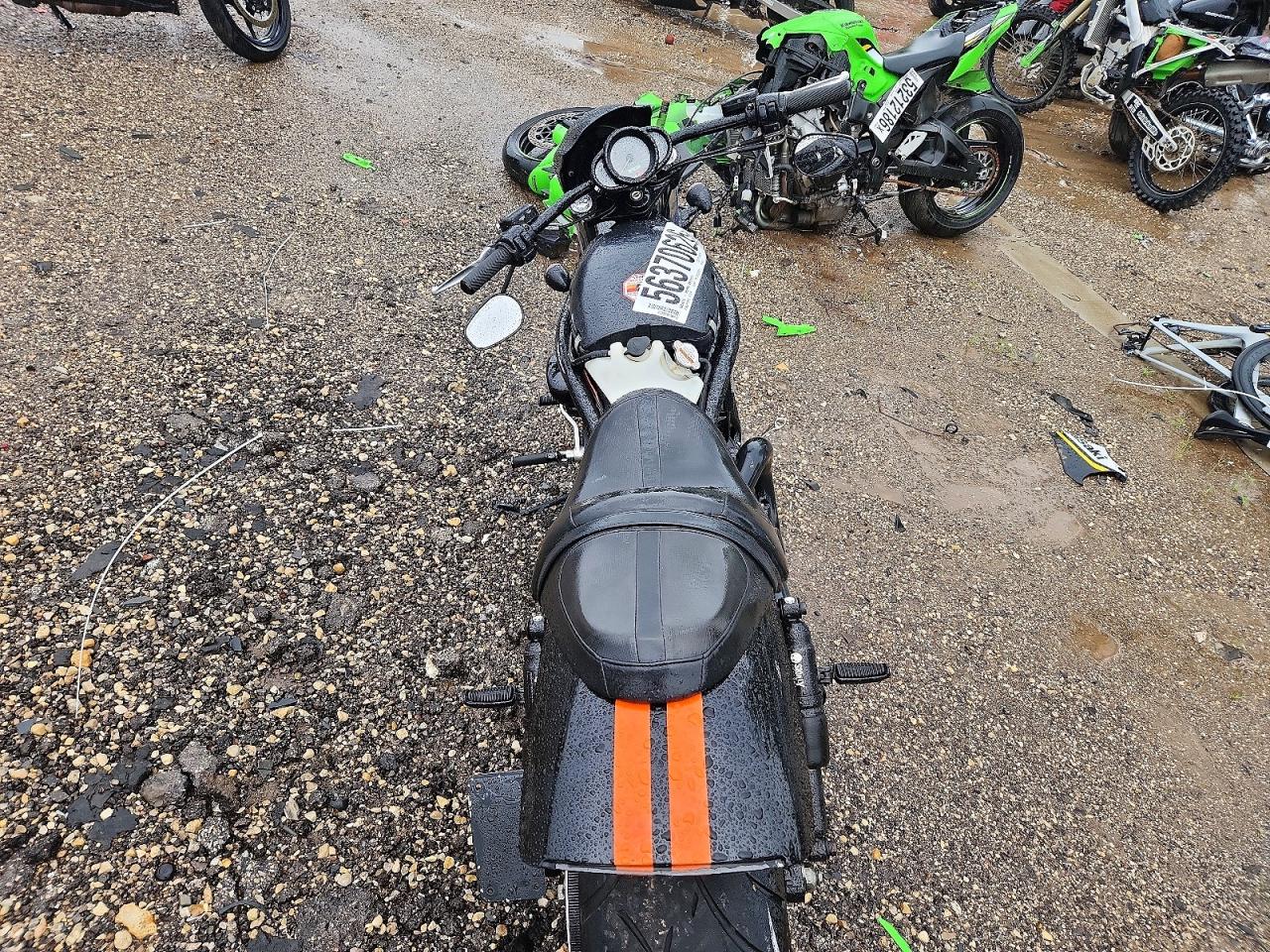 Harley-Davidson Night