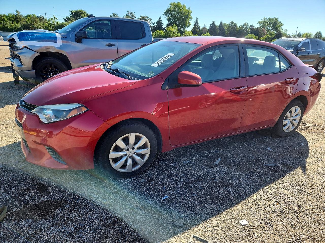 Salvage Toyota Corolla Image