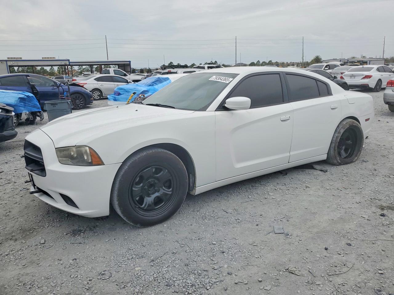 Salvage Dodge Charger Image