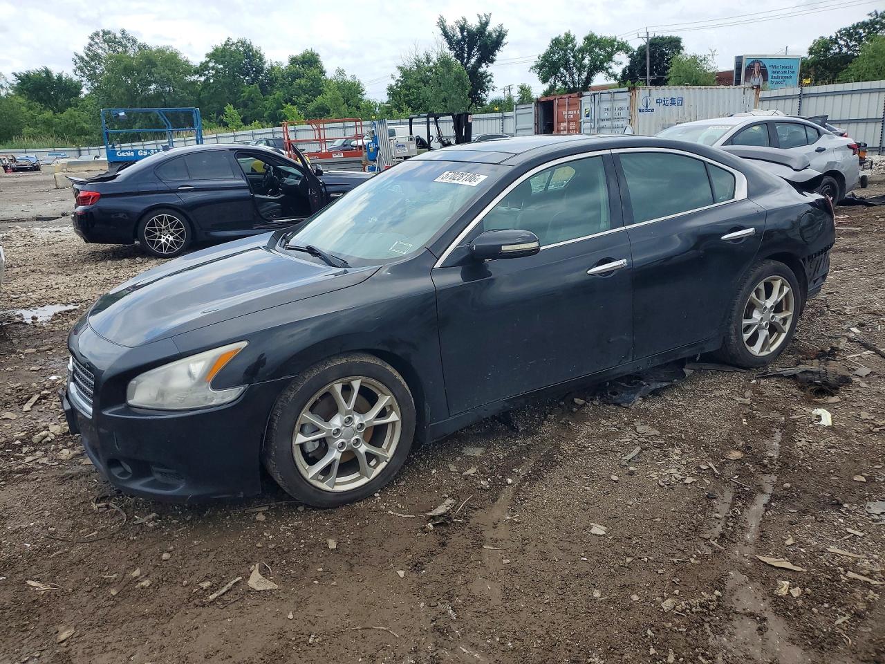 Salvage Nissan Maxima Image