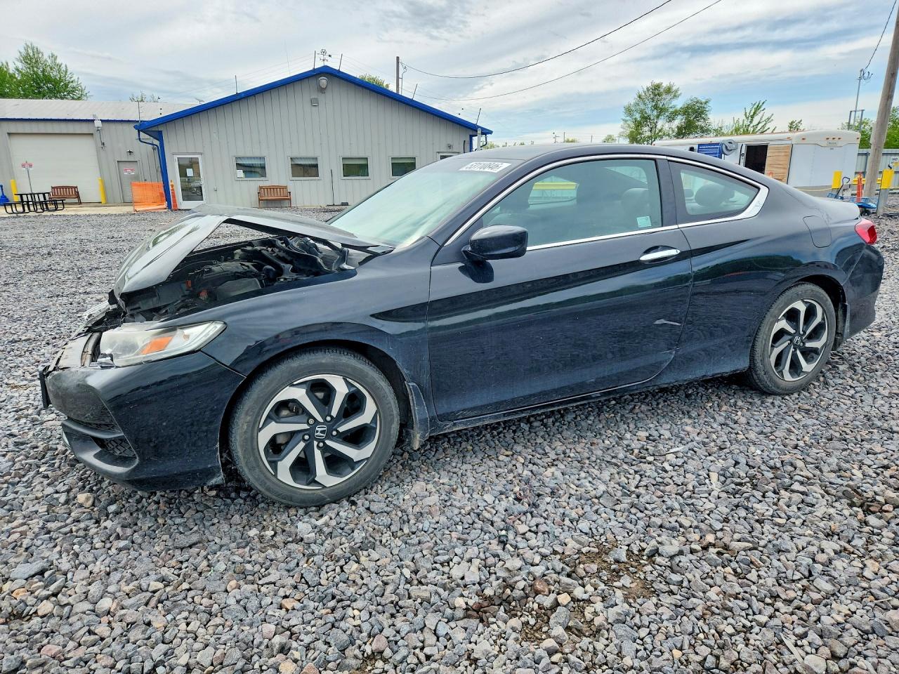 Salvage Honda Accord Image
