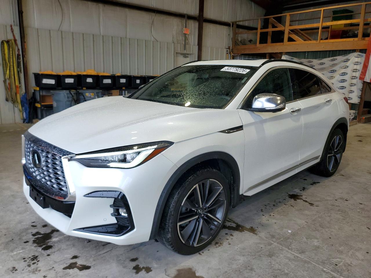 Salvage INFINITI Qx Image