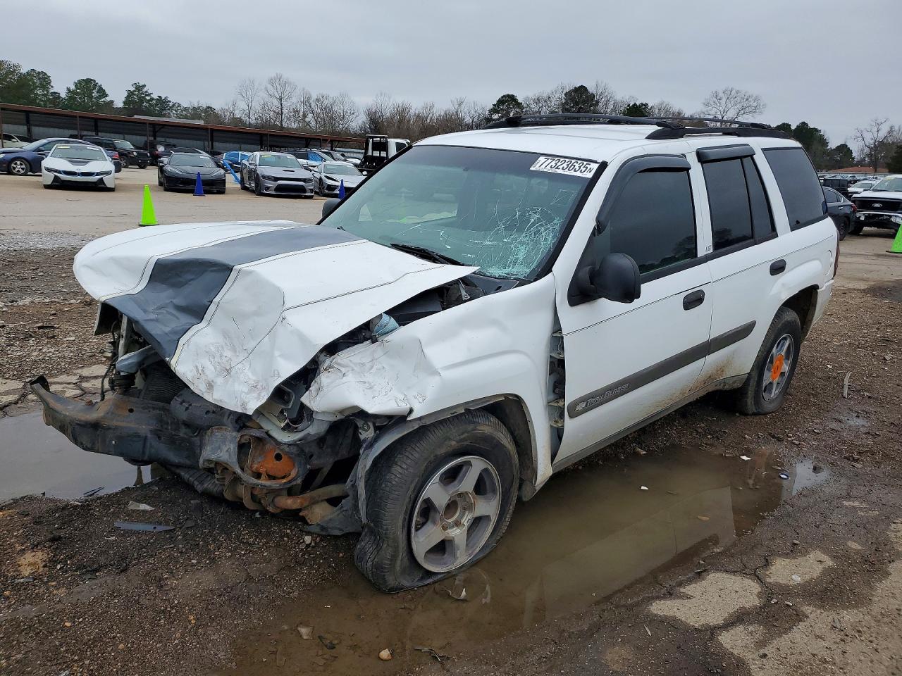 Salvage Chevrolet Trailblazer Image