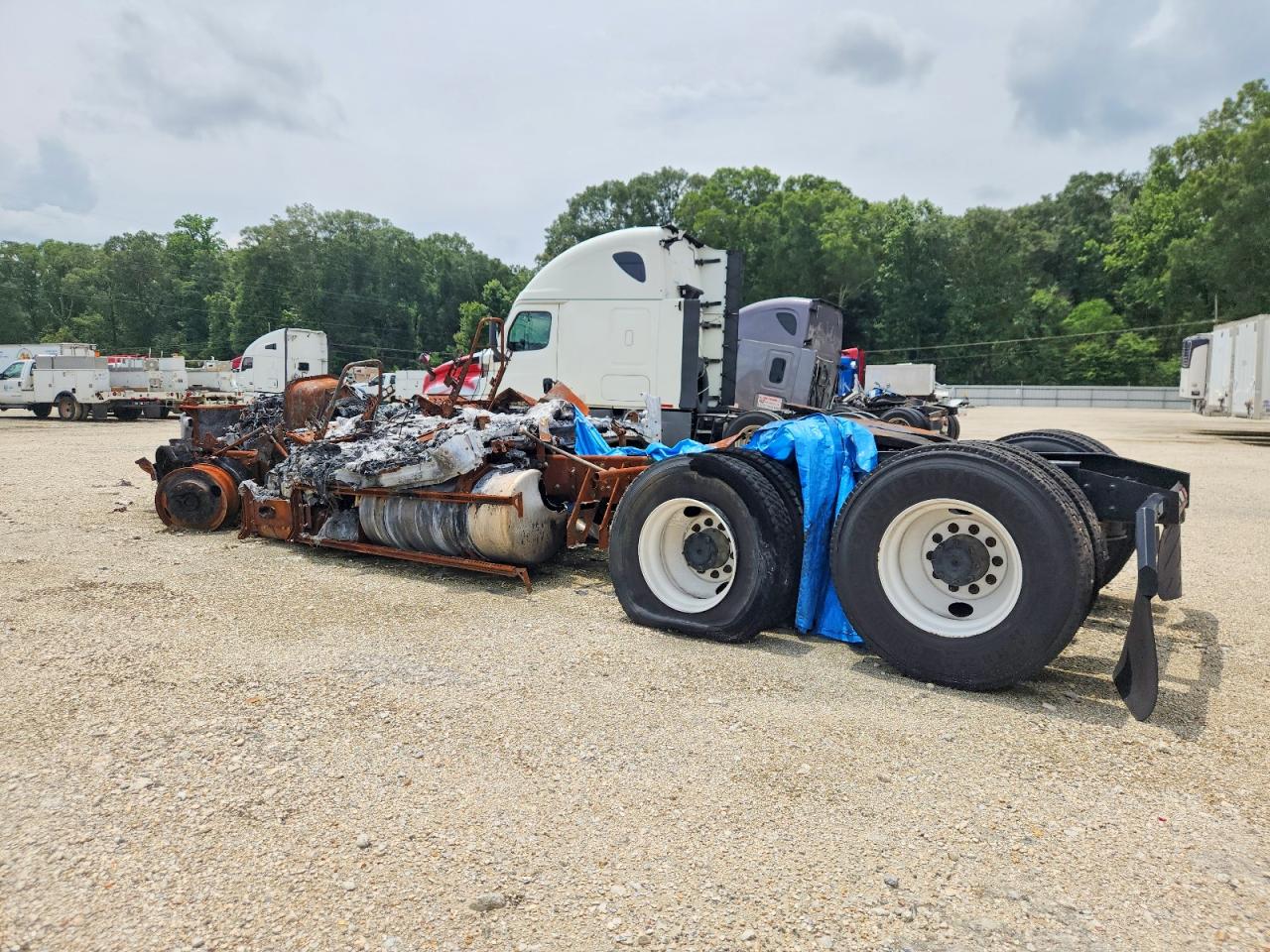 Freightliner Cascadia 126