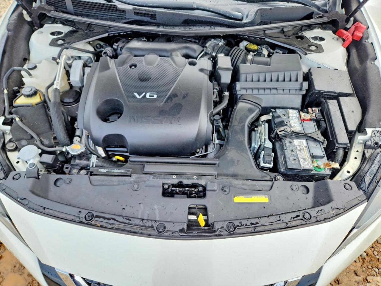Nissan Maxima Sr