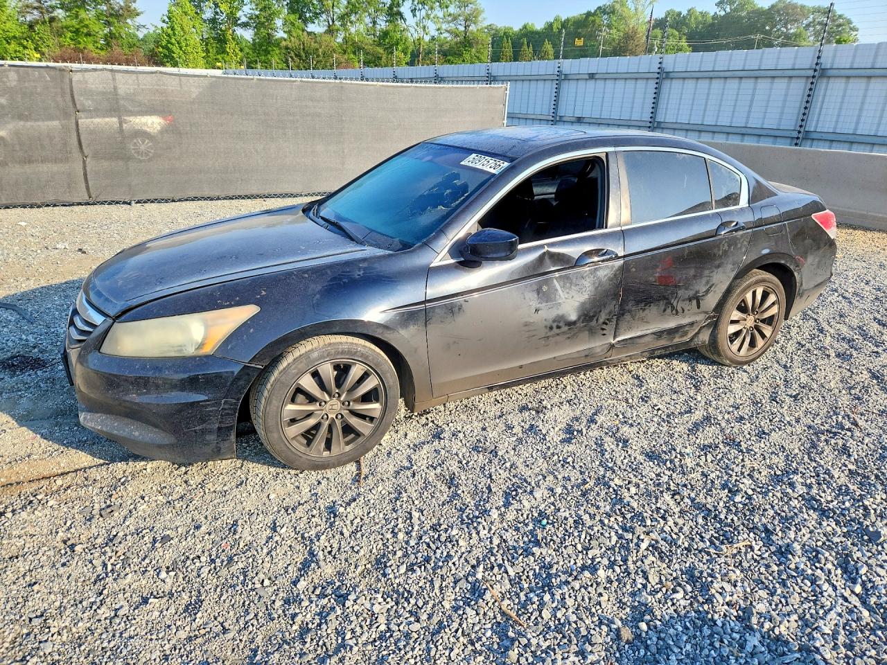 Salvage Honda Accord Image