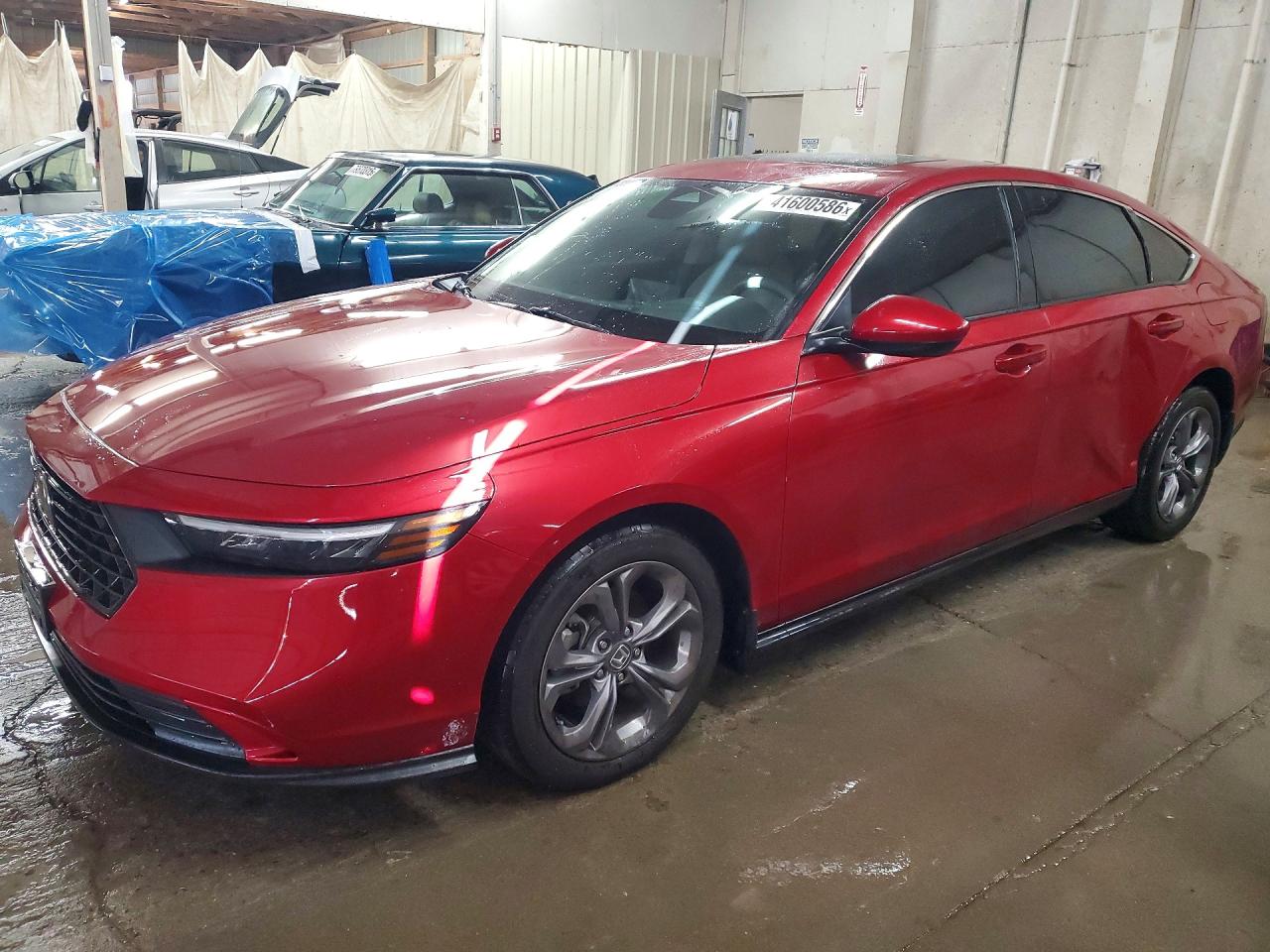 Salvage Honda Accord Image