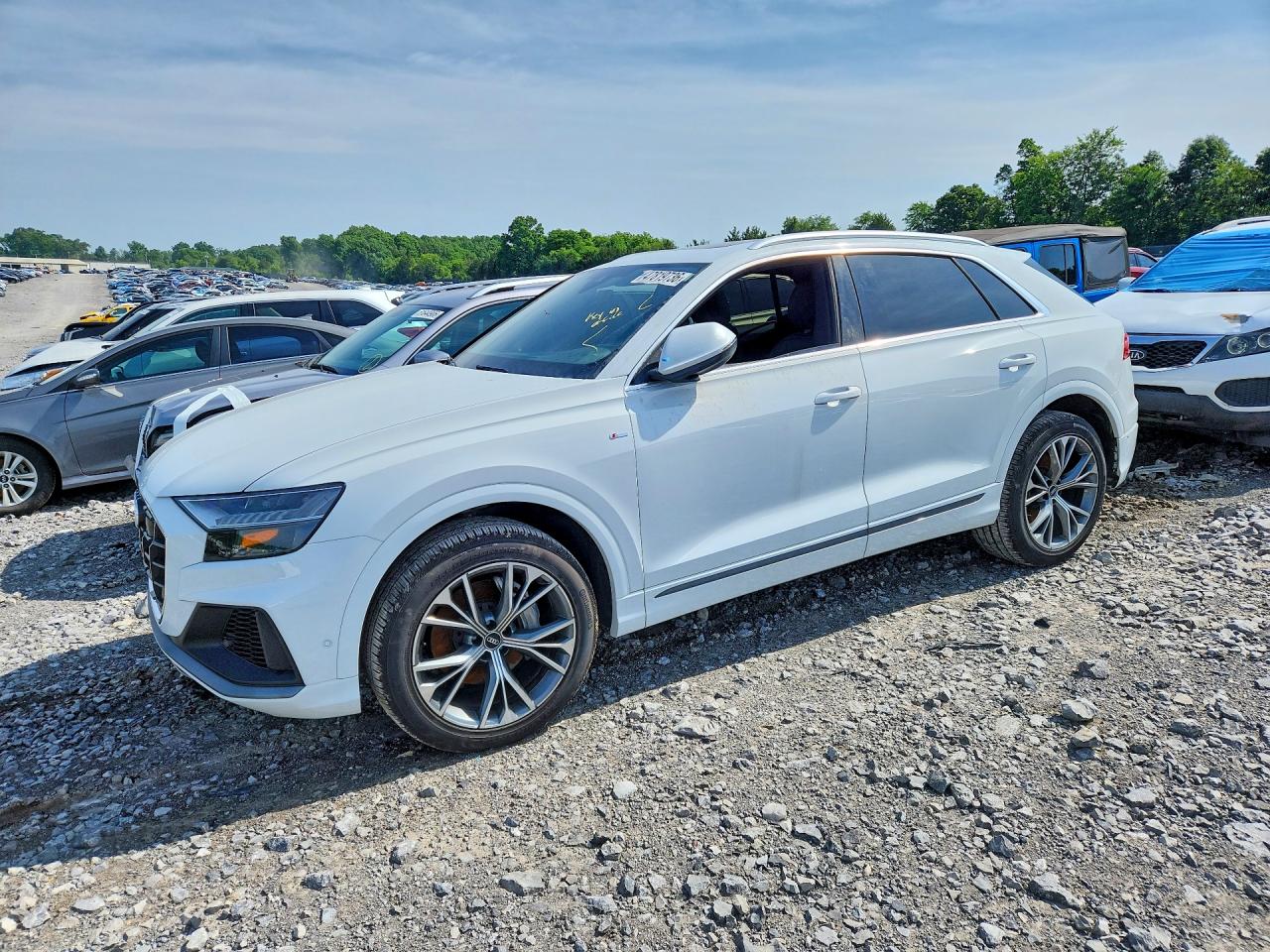 Salvage Audi Q8 Image