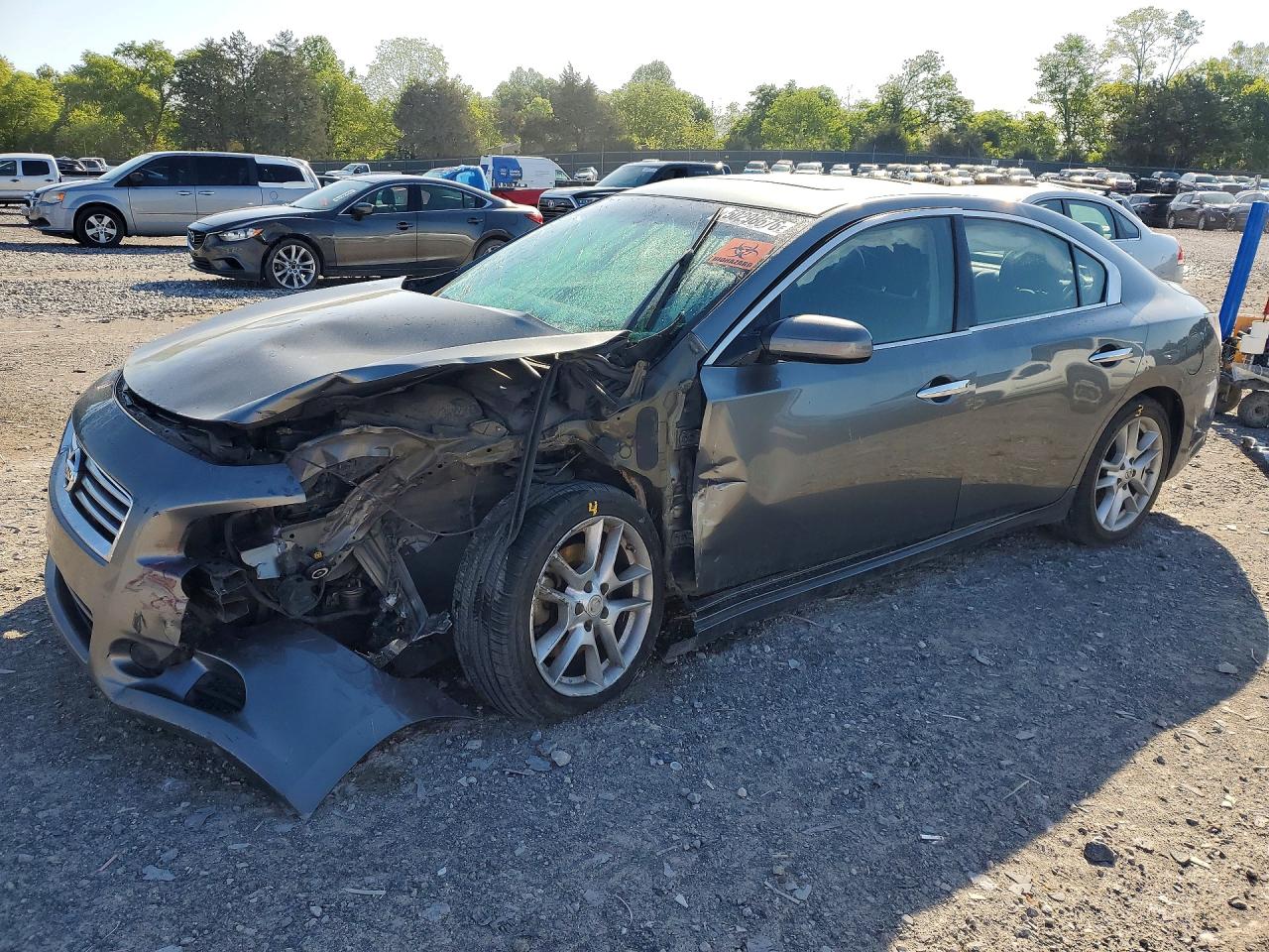 Salvage Nissan Maxima Image