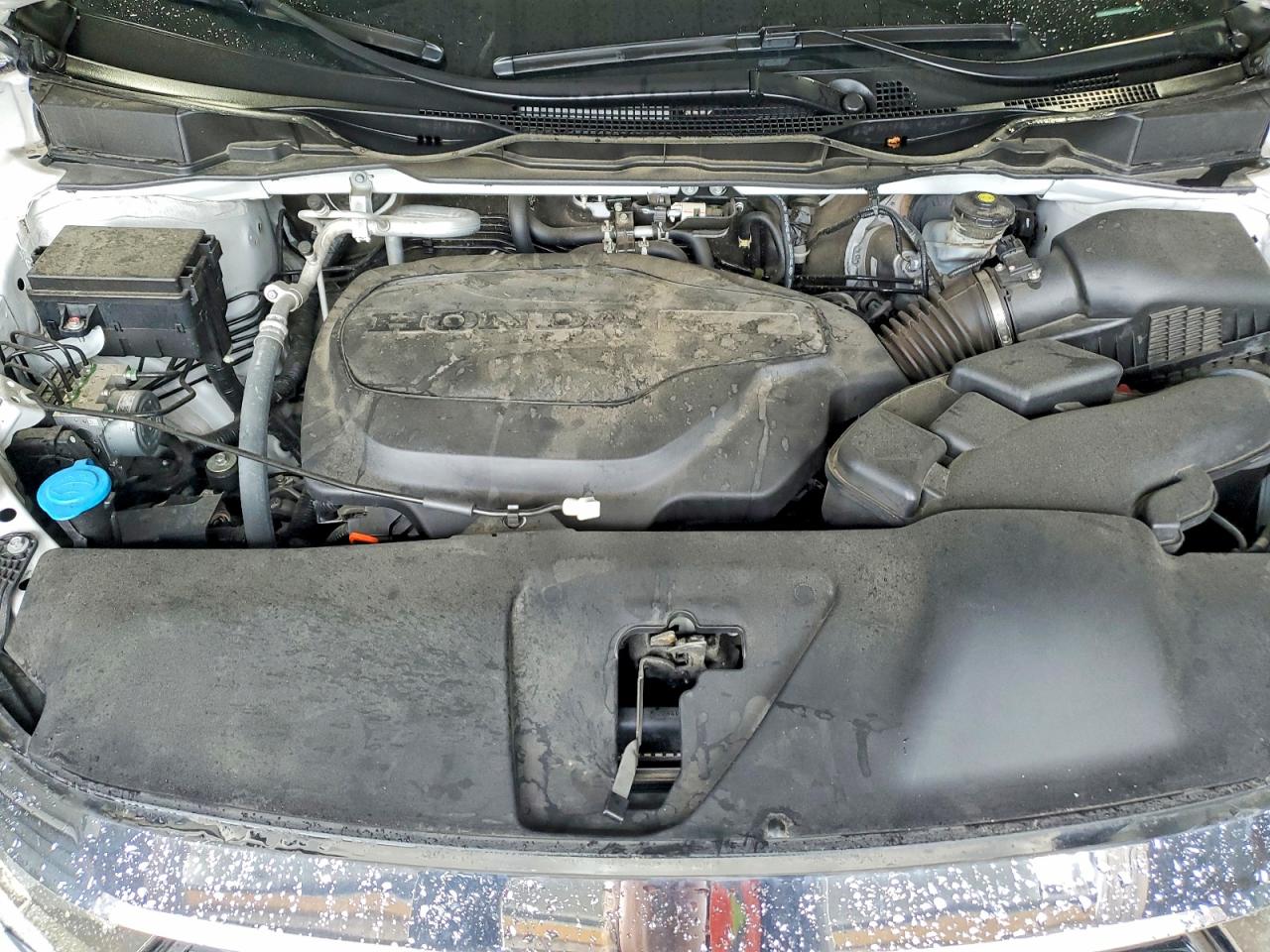 Honda Odyssey Exl