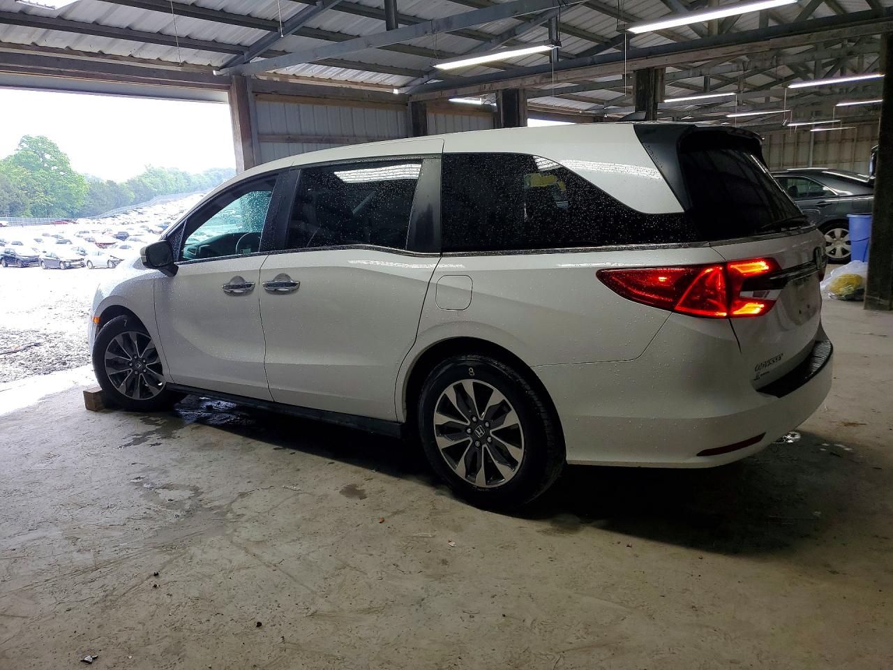 Honda Odyssey Exl