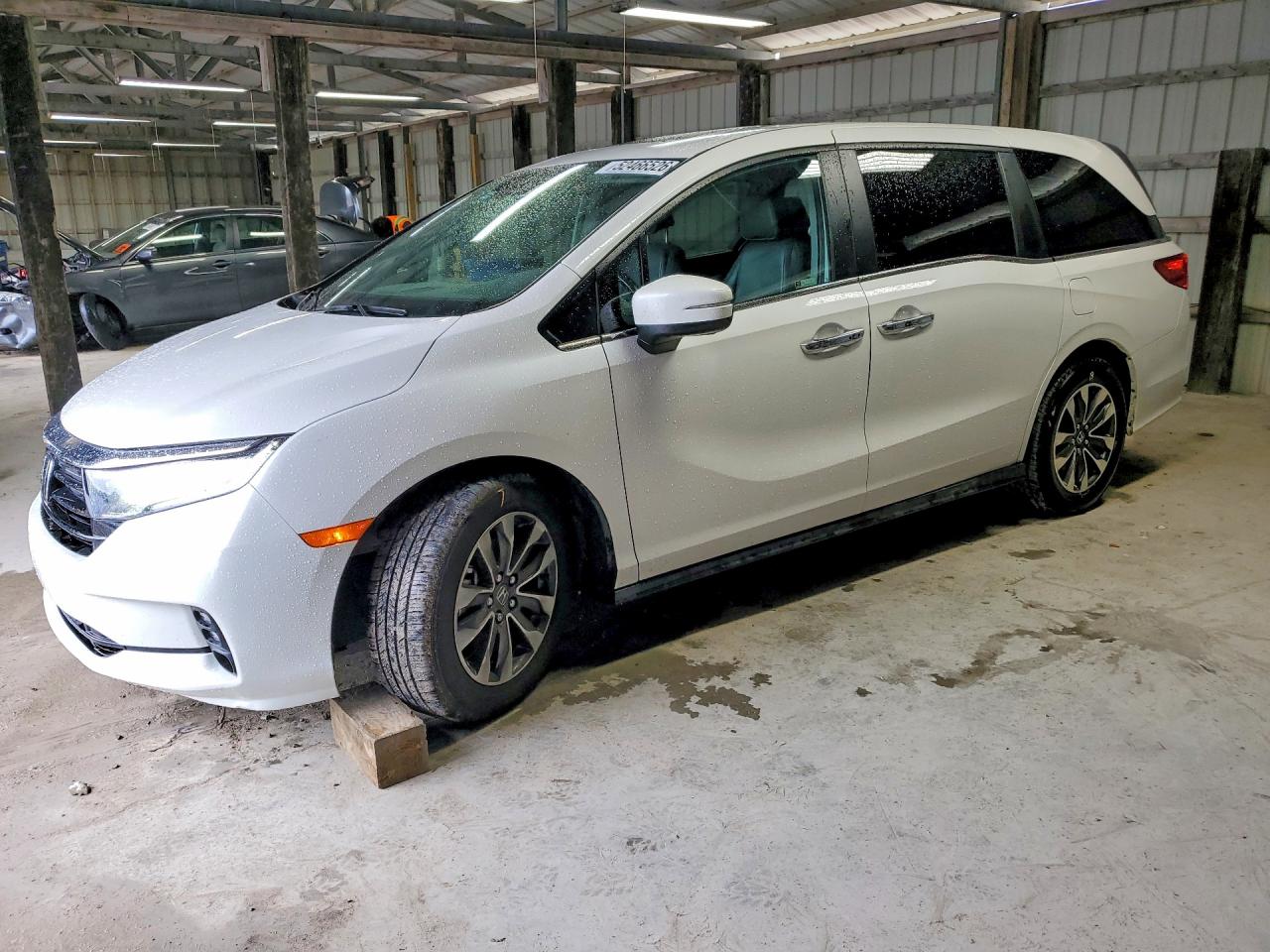 Salvage Honda Odyssey Image