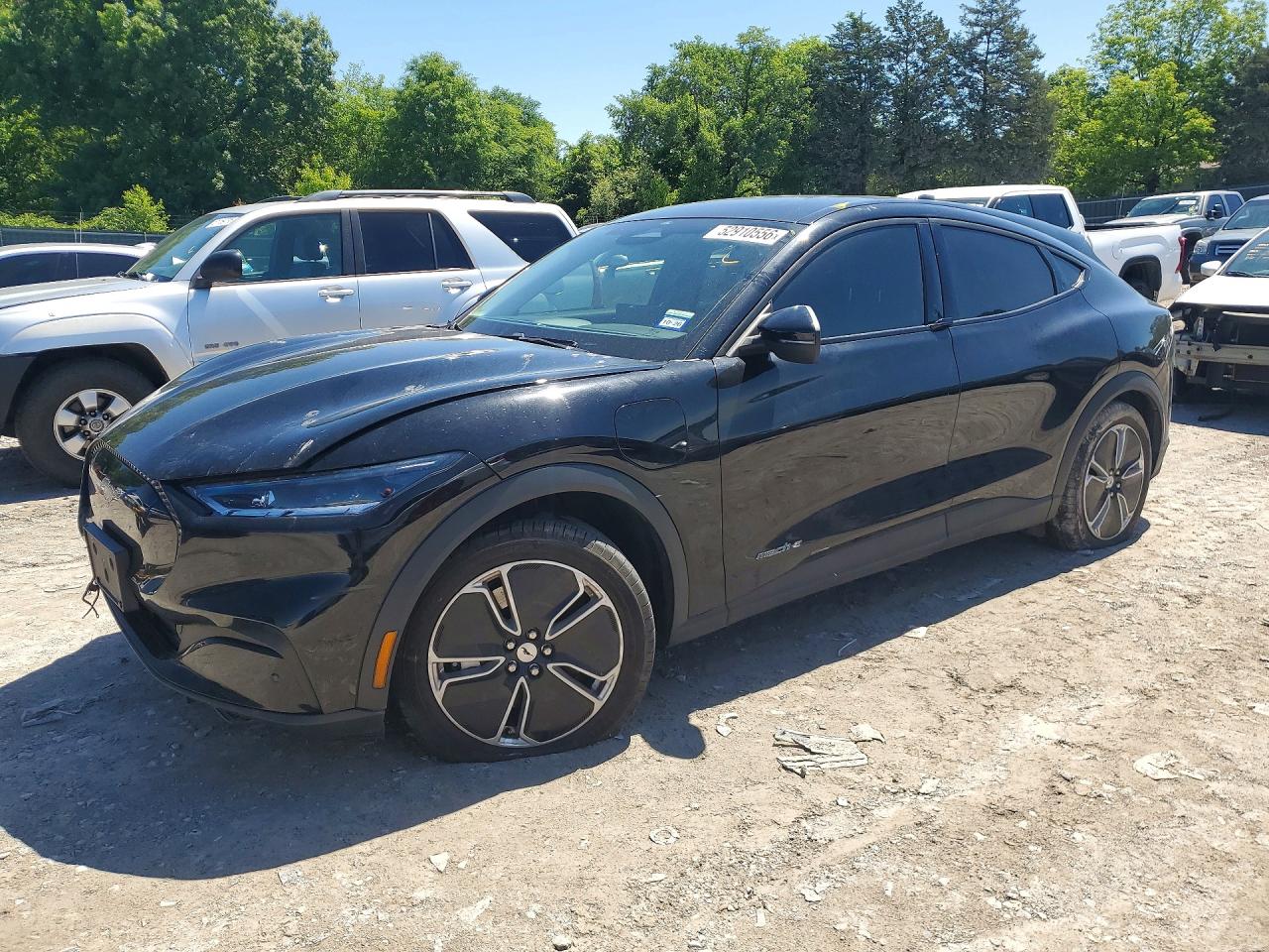 Salvage Ford Mustang Image