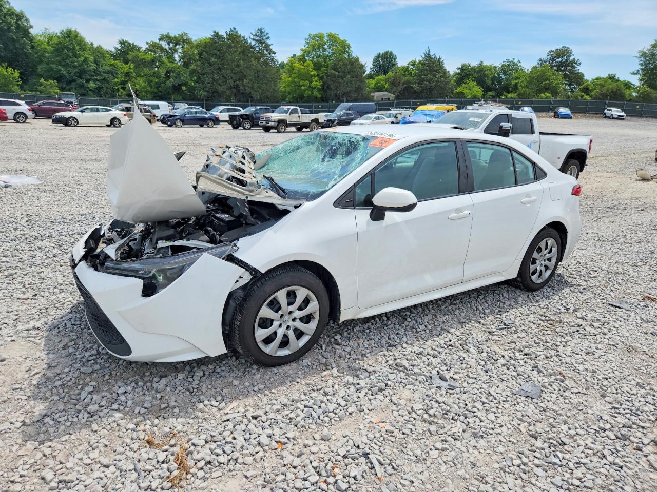 Salvage Toyota Corolla Image