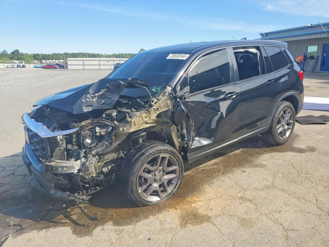 Salvage Honda Passport Image