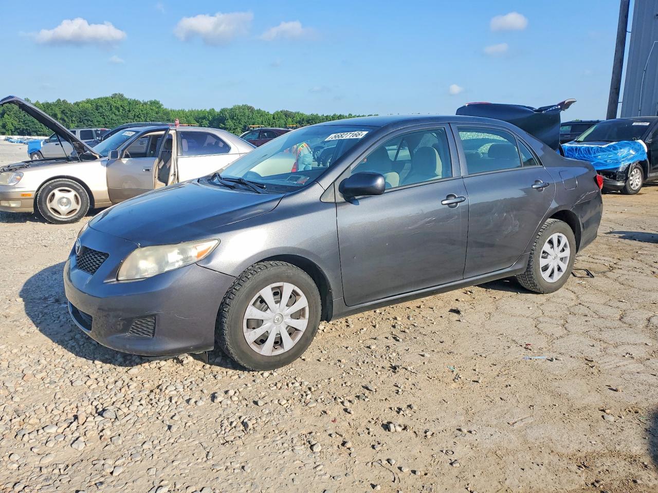 Salvage Toyota Corolla Image