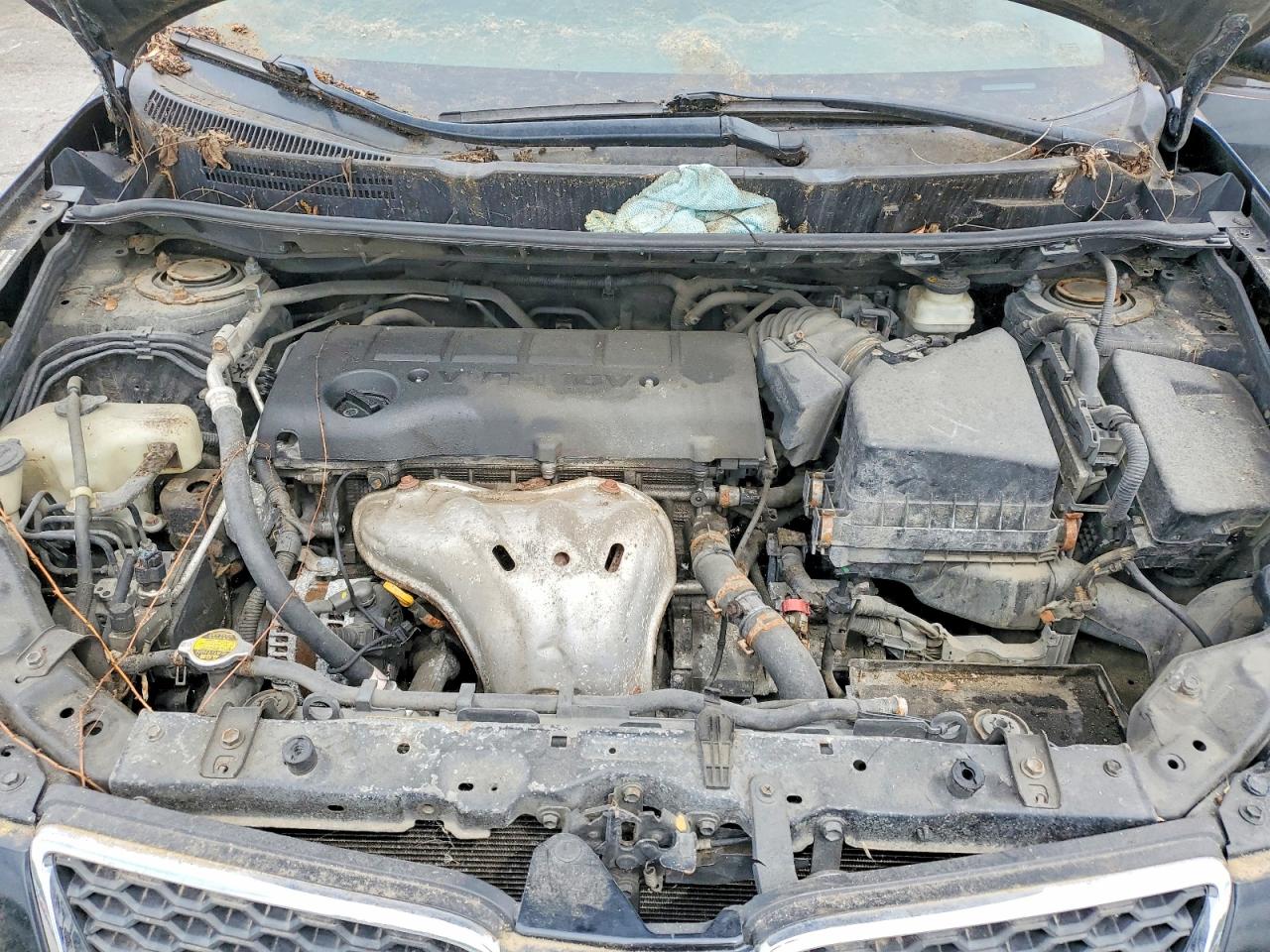 Pontiac Vibe