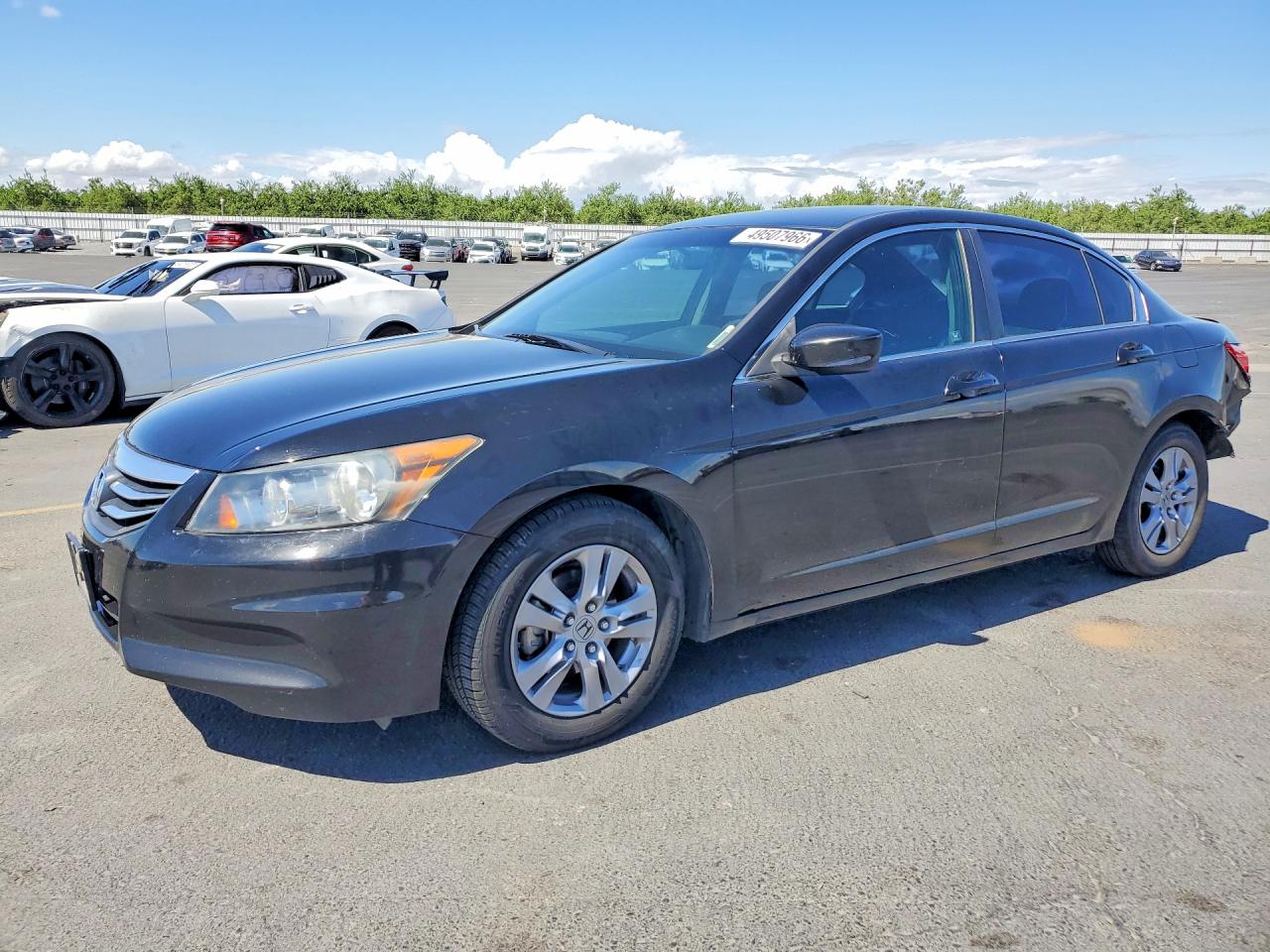 Salvage Honda Accord Image