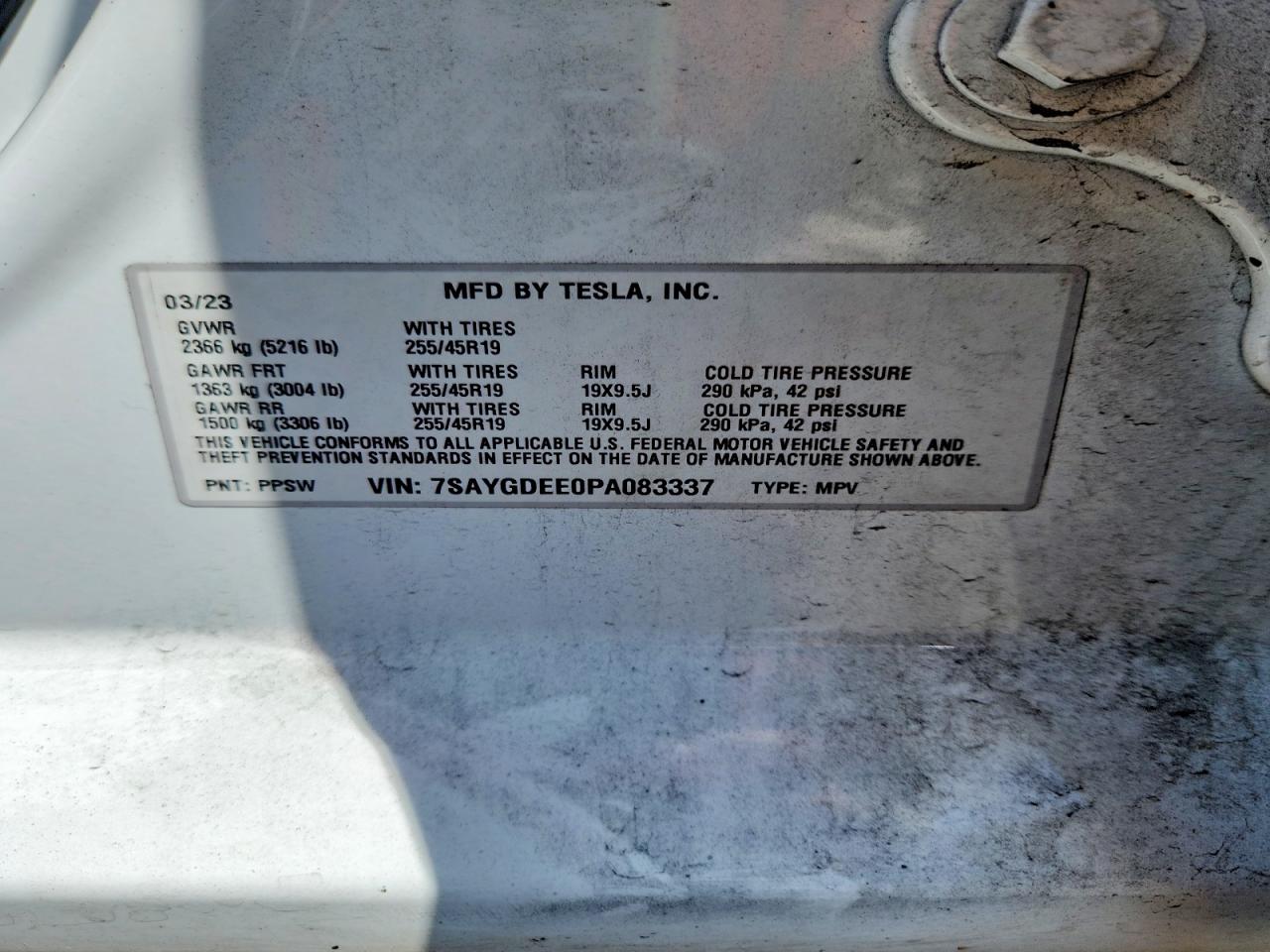 Tesla Model Y