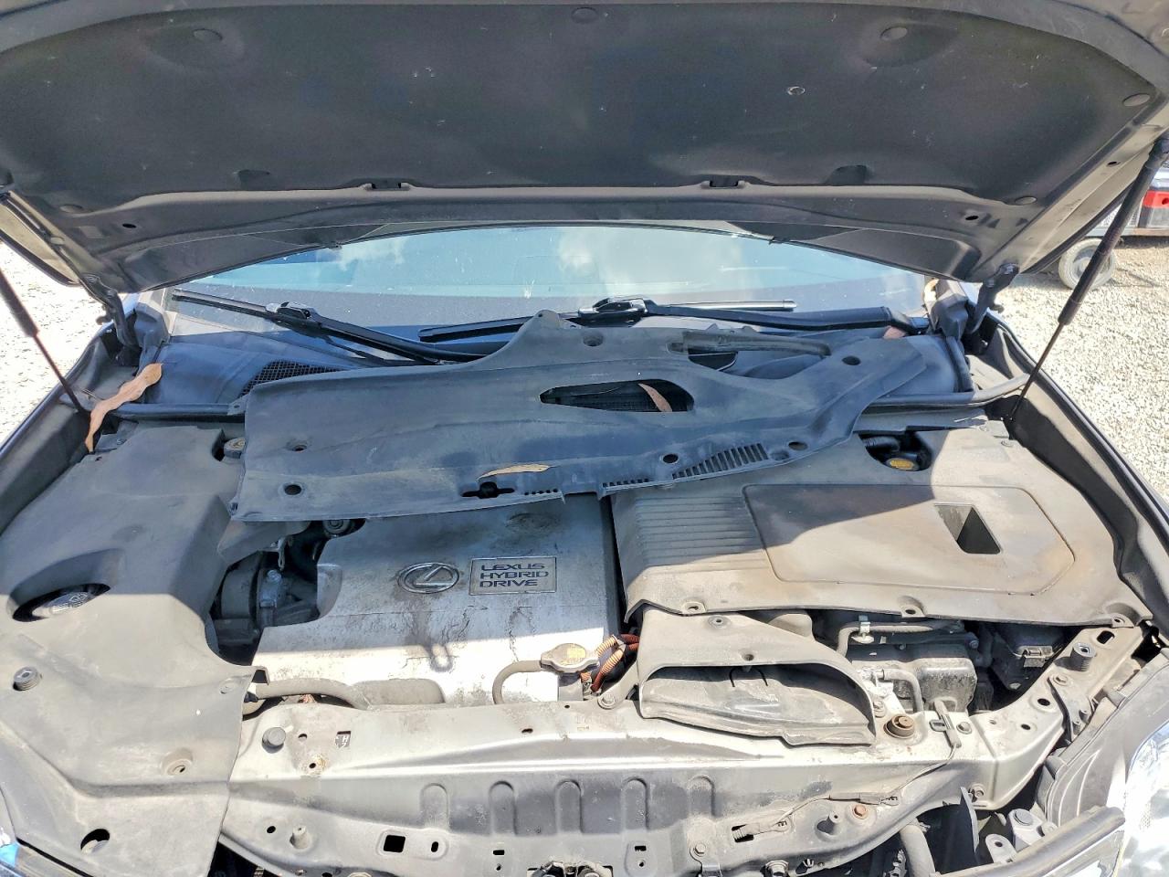Lexus RX Base