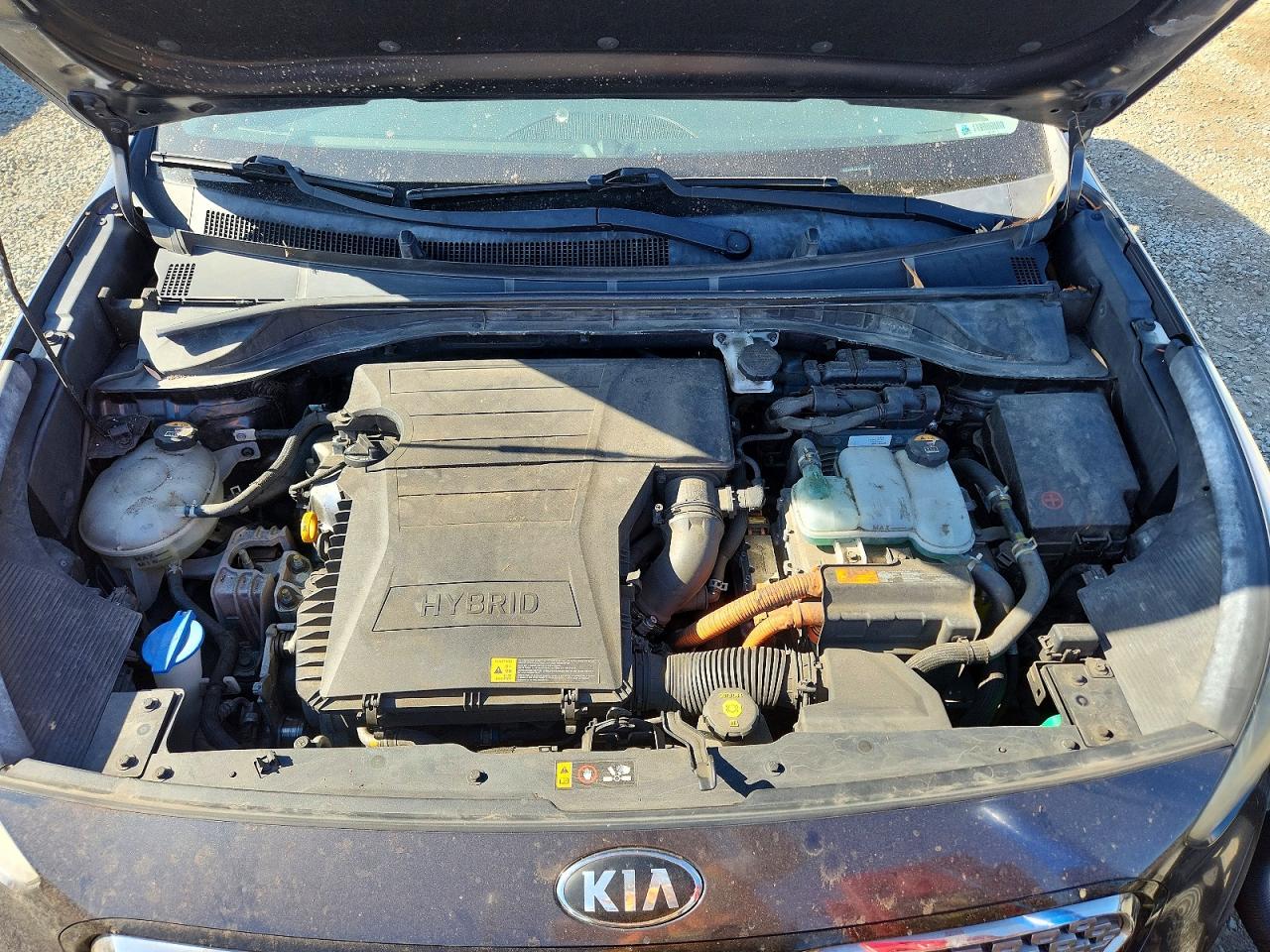 Kia Niro Ex
