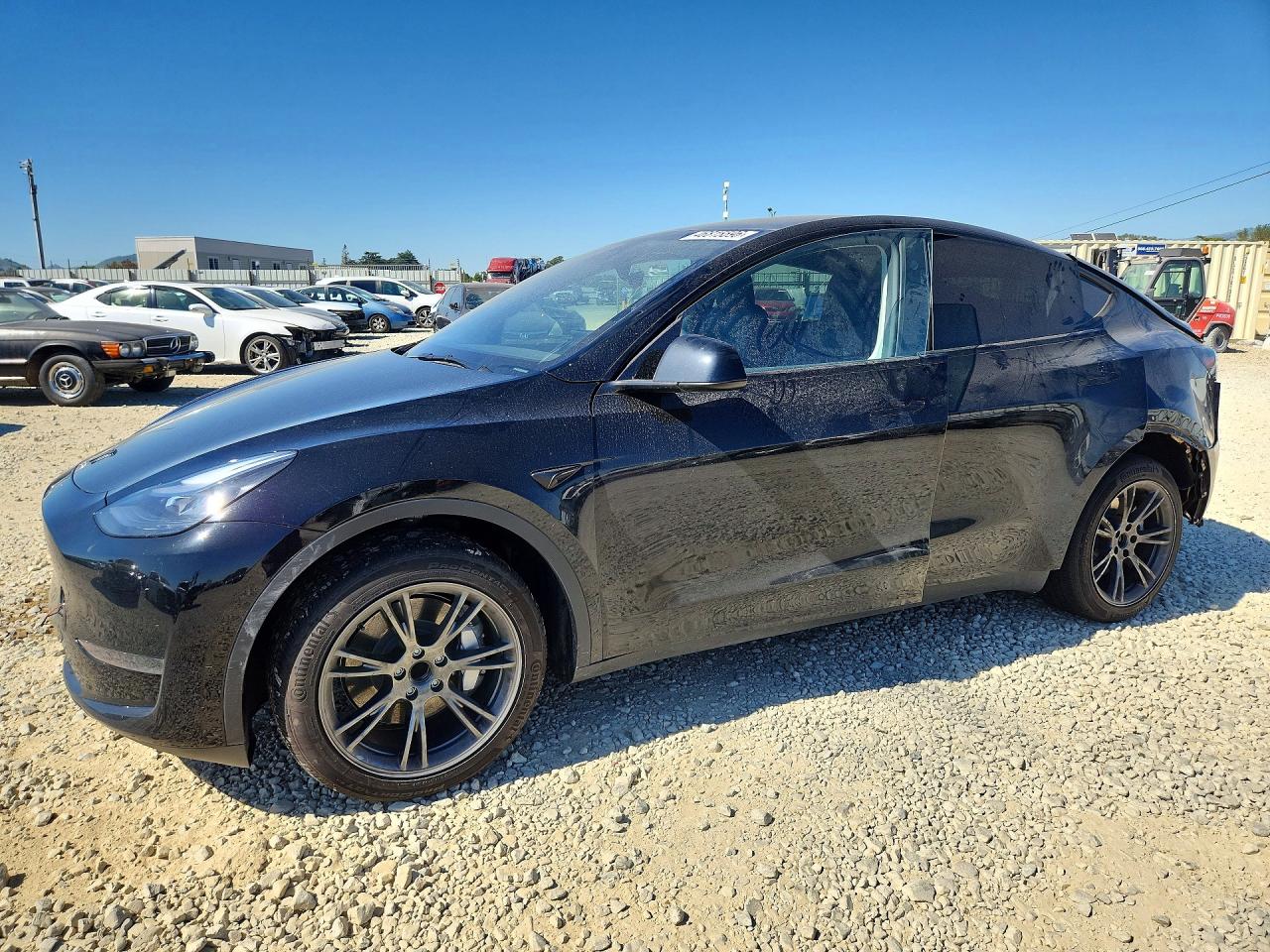Salvage Tesla Model Y Image