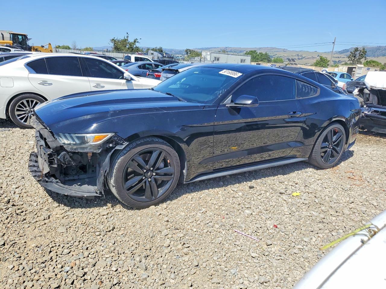Salvage Ford Mustang Image