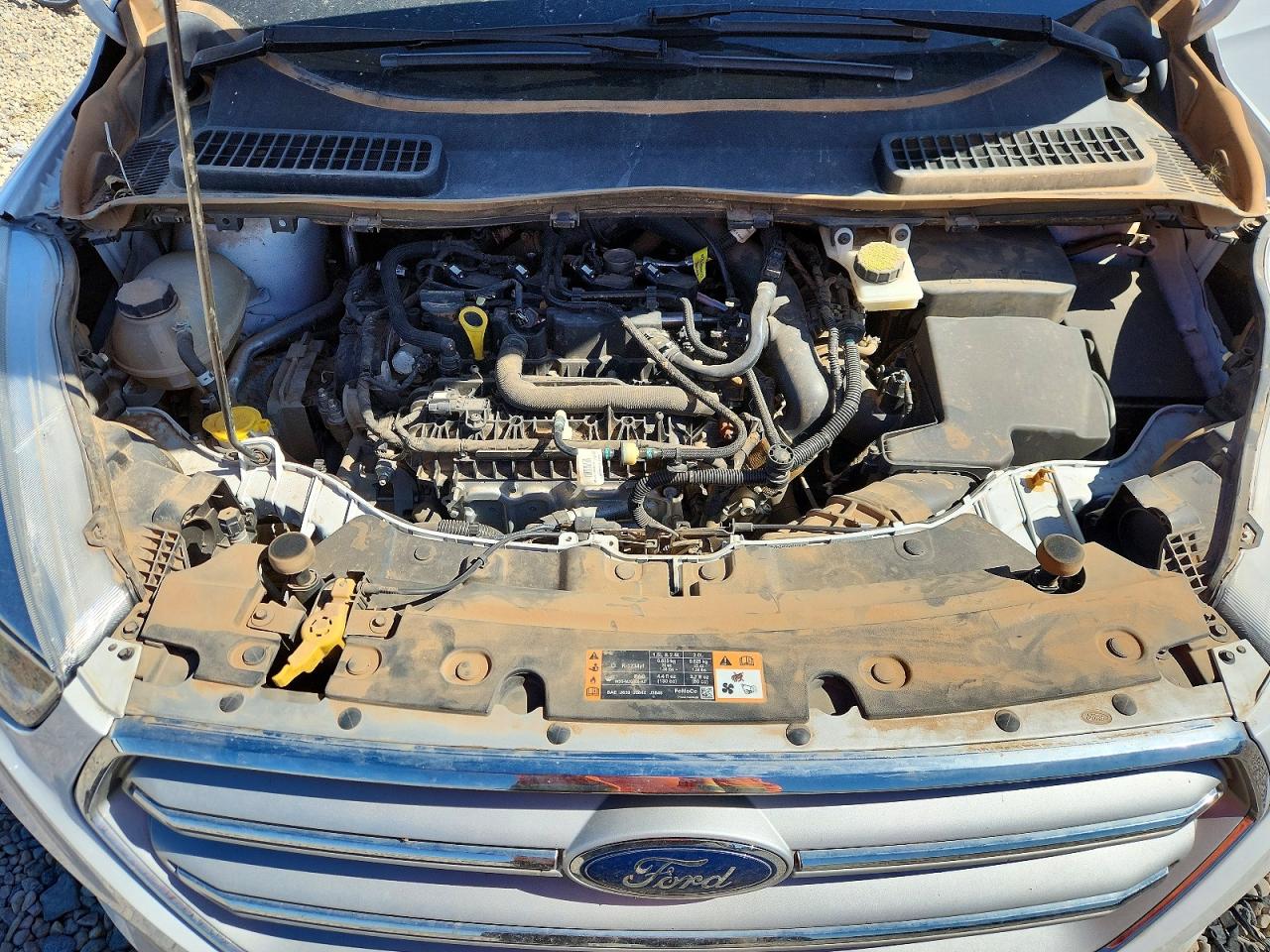 Ford Escape Se