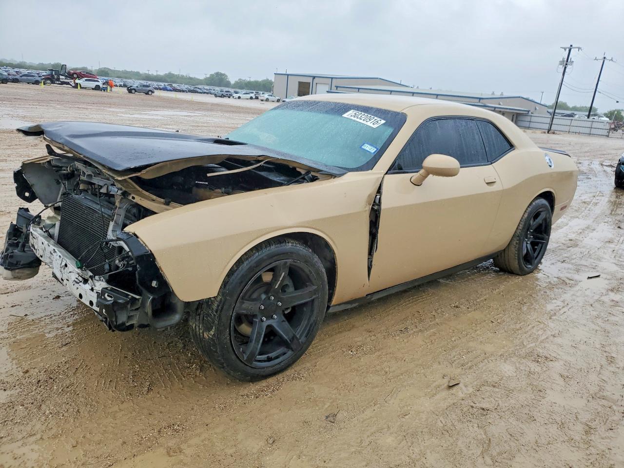 Salvage Dodge Challenger Image