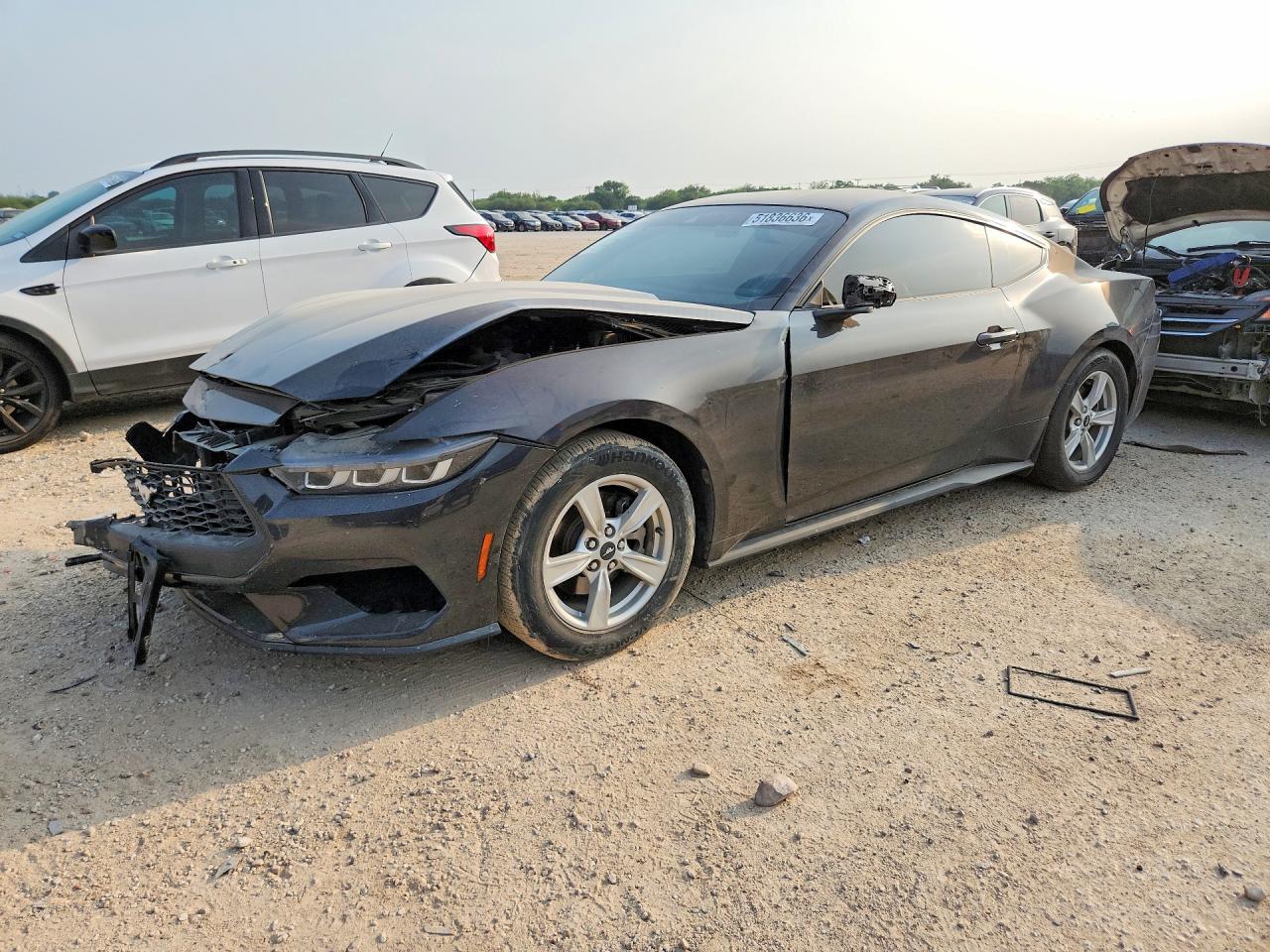 Salvage Ford Mustang Image