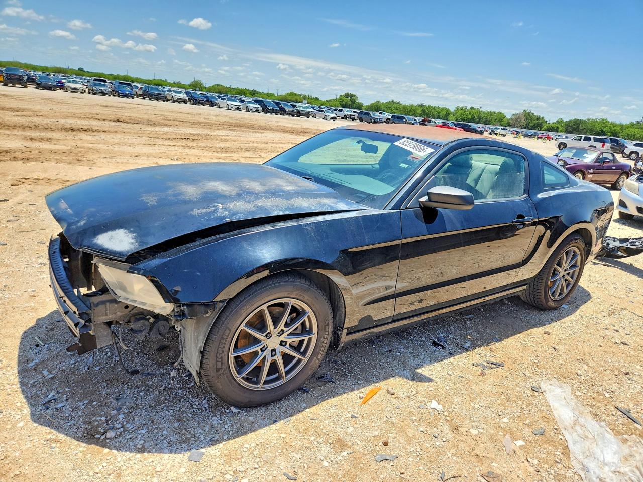 Salvage Ford Mustang Image