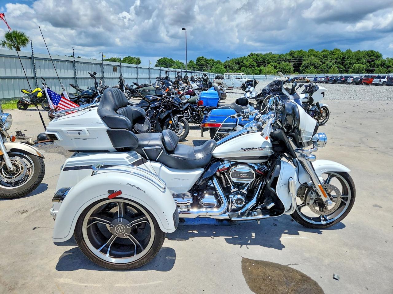 Salvage Harley-Davidson Flhtcutgse Image