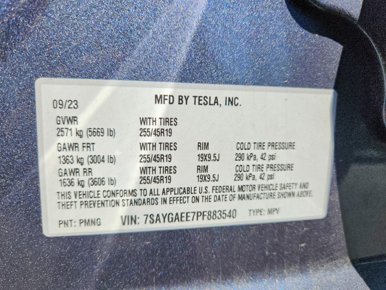 Tesla Model Y