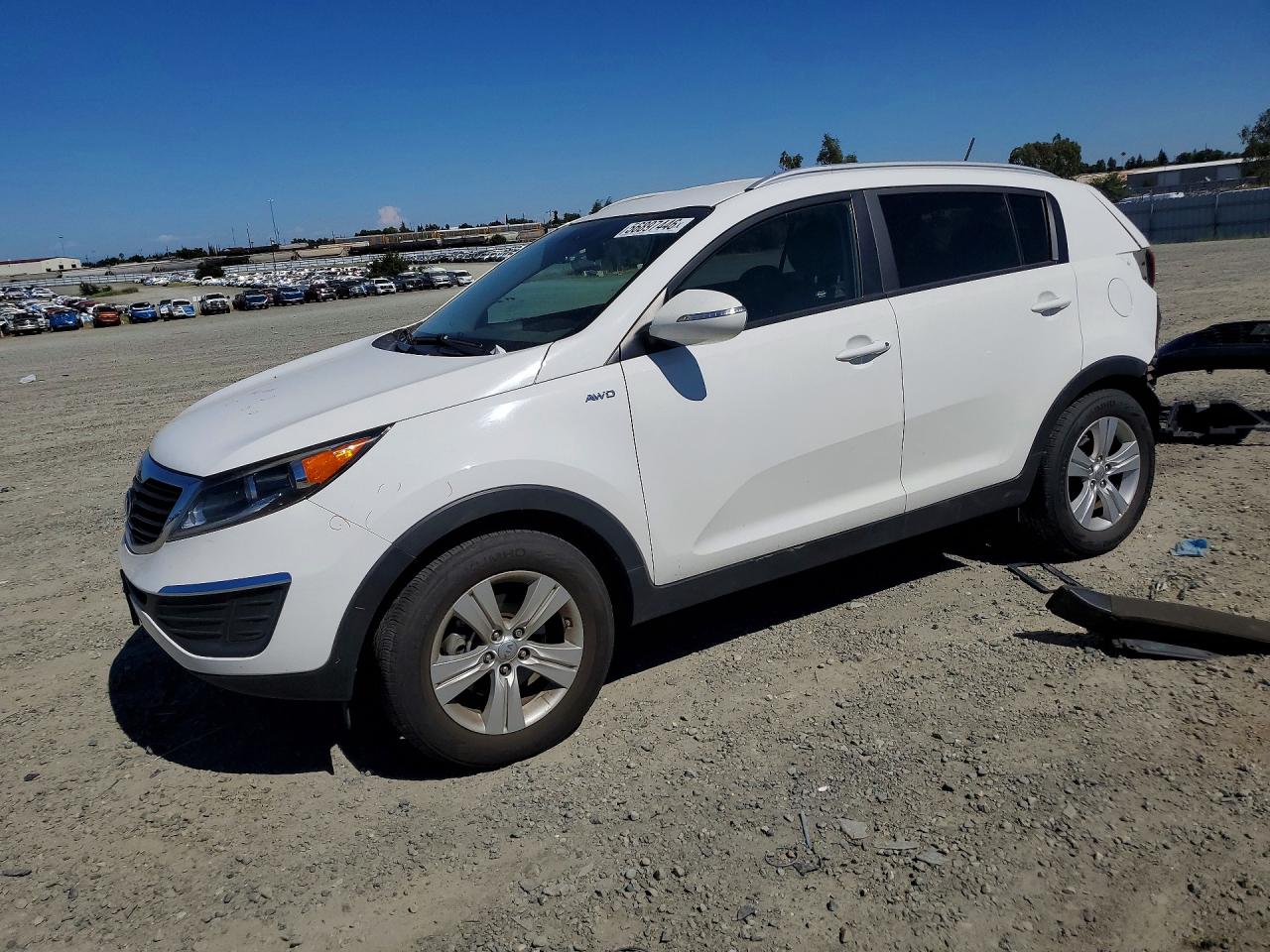 Salvage Kia Sportage Image