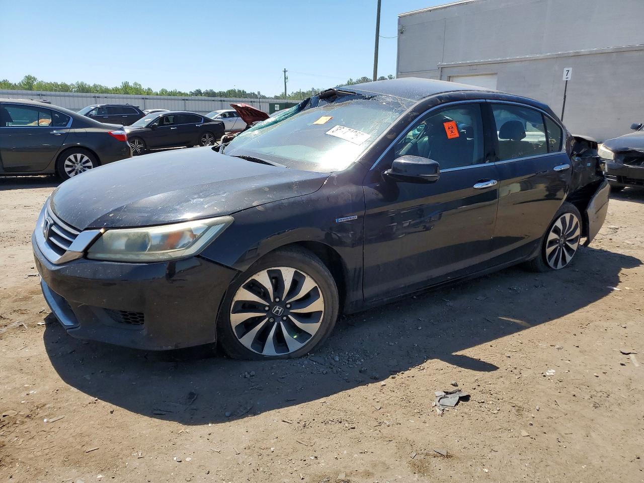Salvage Honda Accord Image