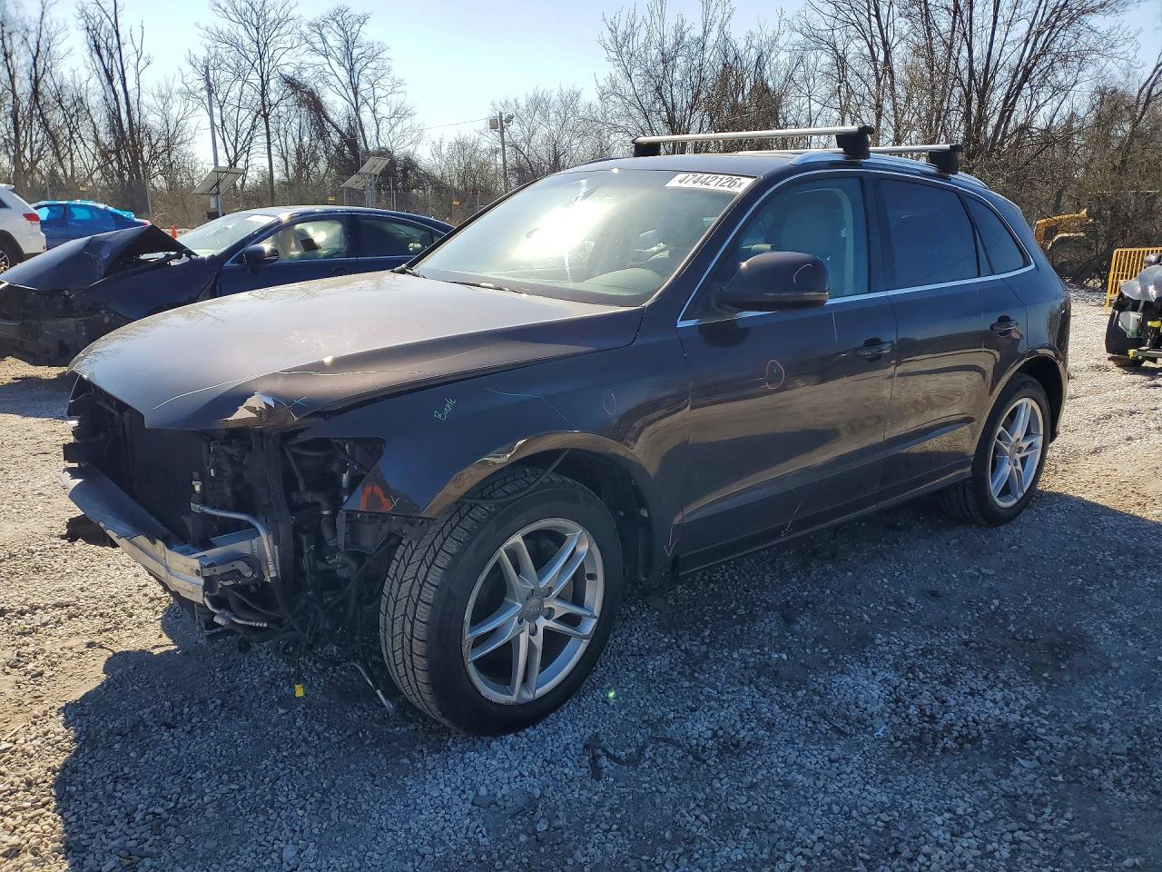 Salvage Audi Q5 Image