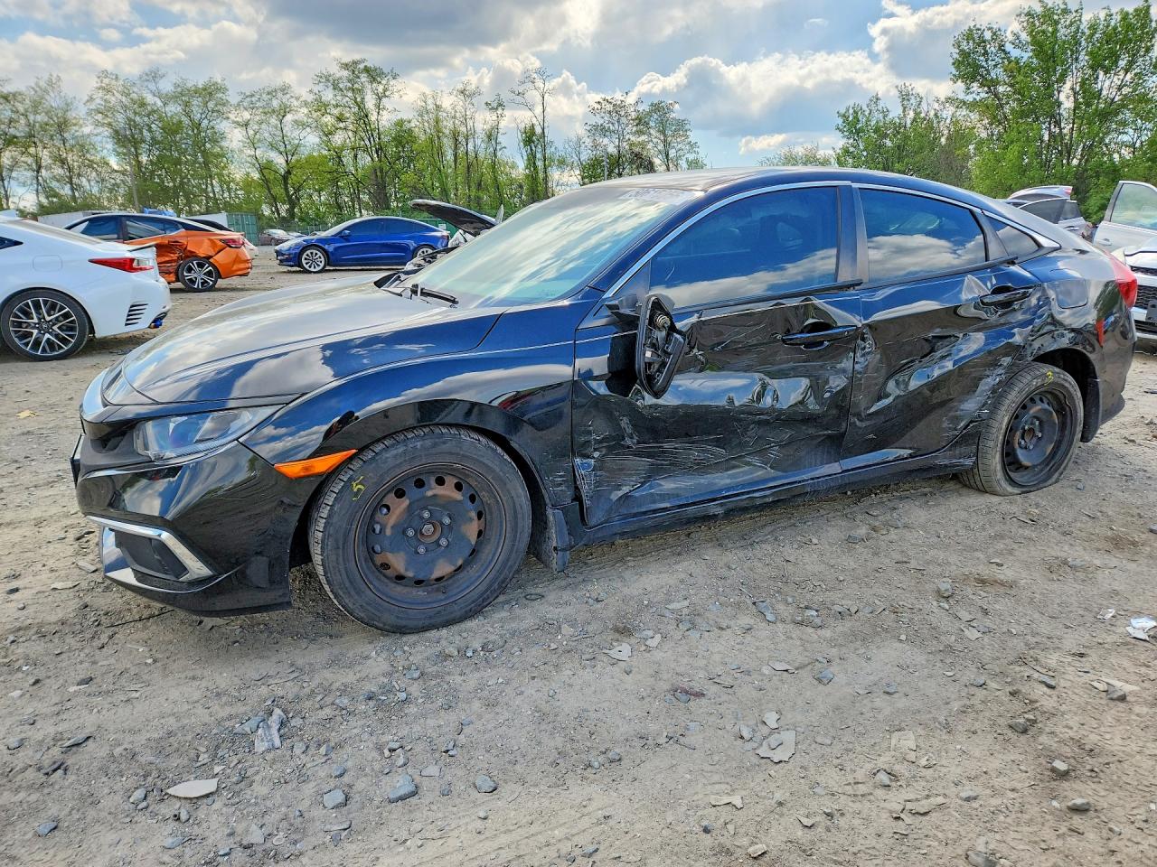 Salvage Honda Civic Image