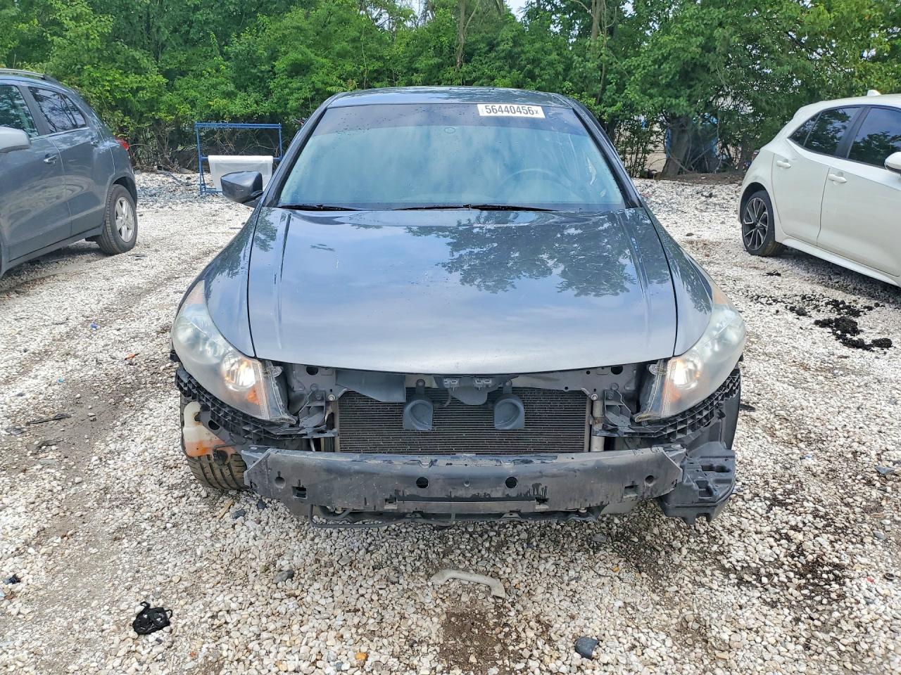 Honda Accord Lxp