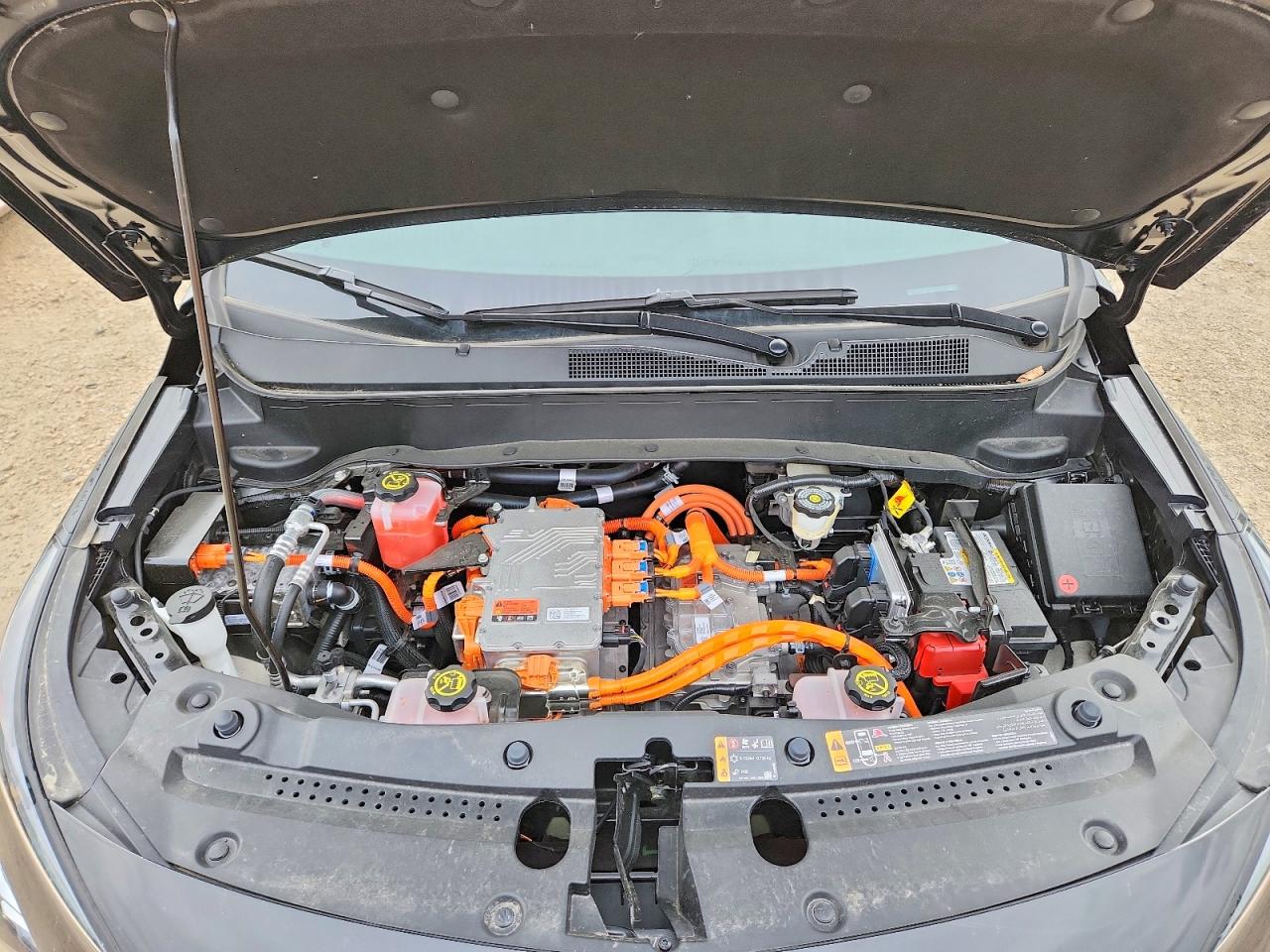 Chevrolet Bolt