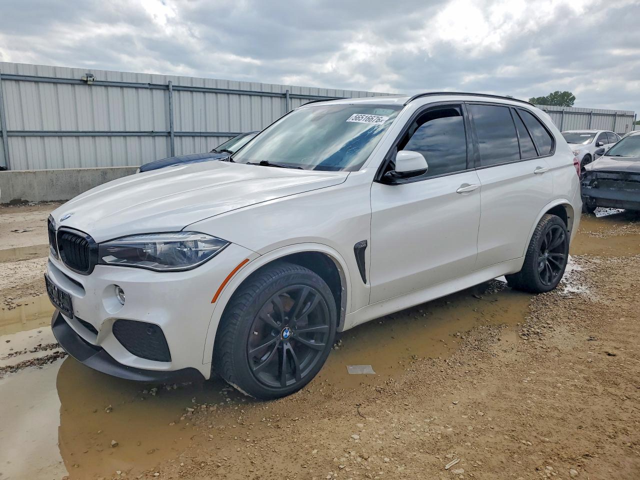 Salvage BMW X Series Image