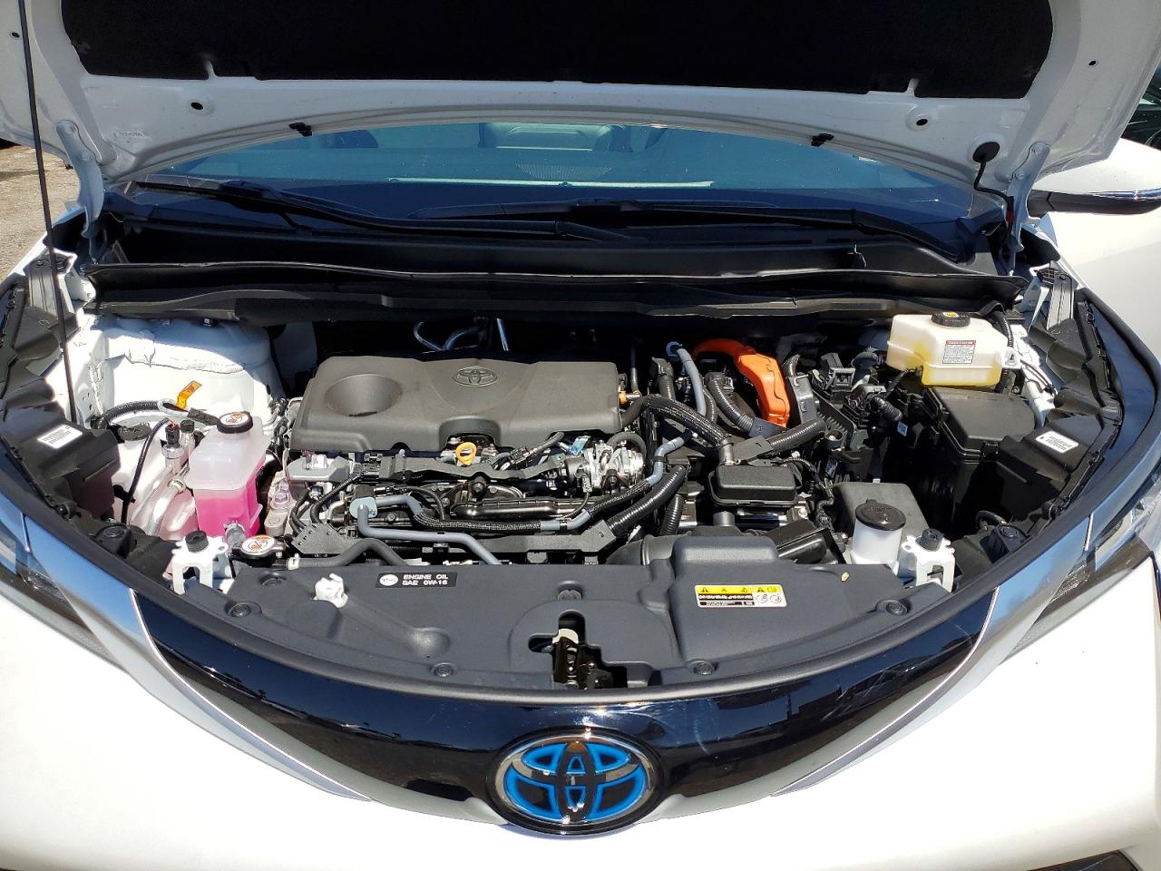 Toyota Sienna Limited 7-passenger