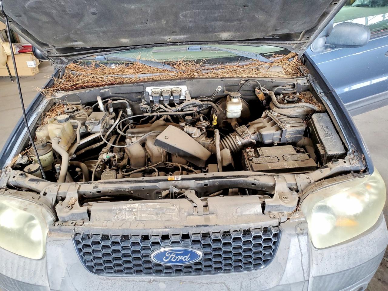 Ford Escape Xlt